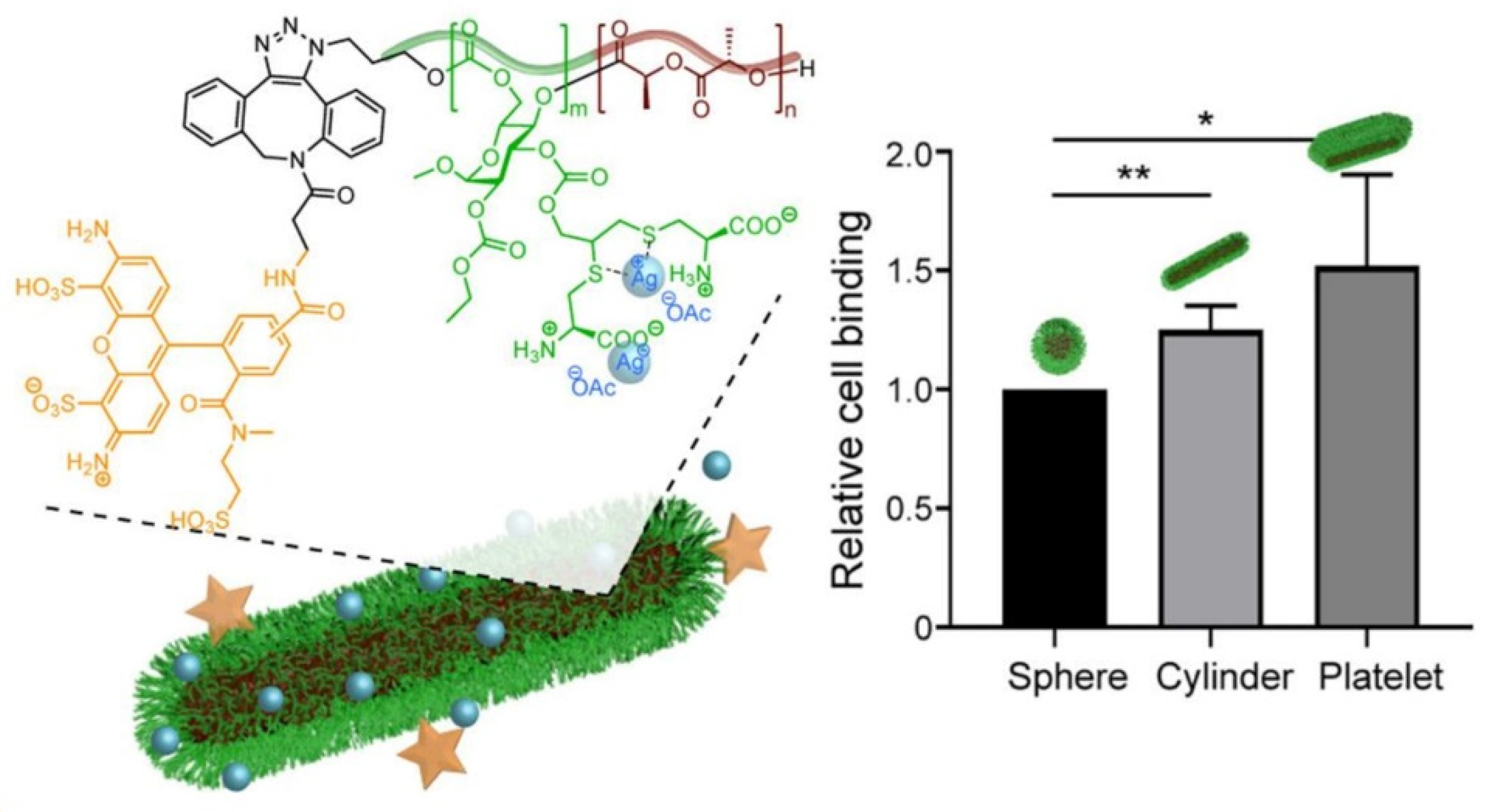 Pharmaceutics 13 02108 g003