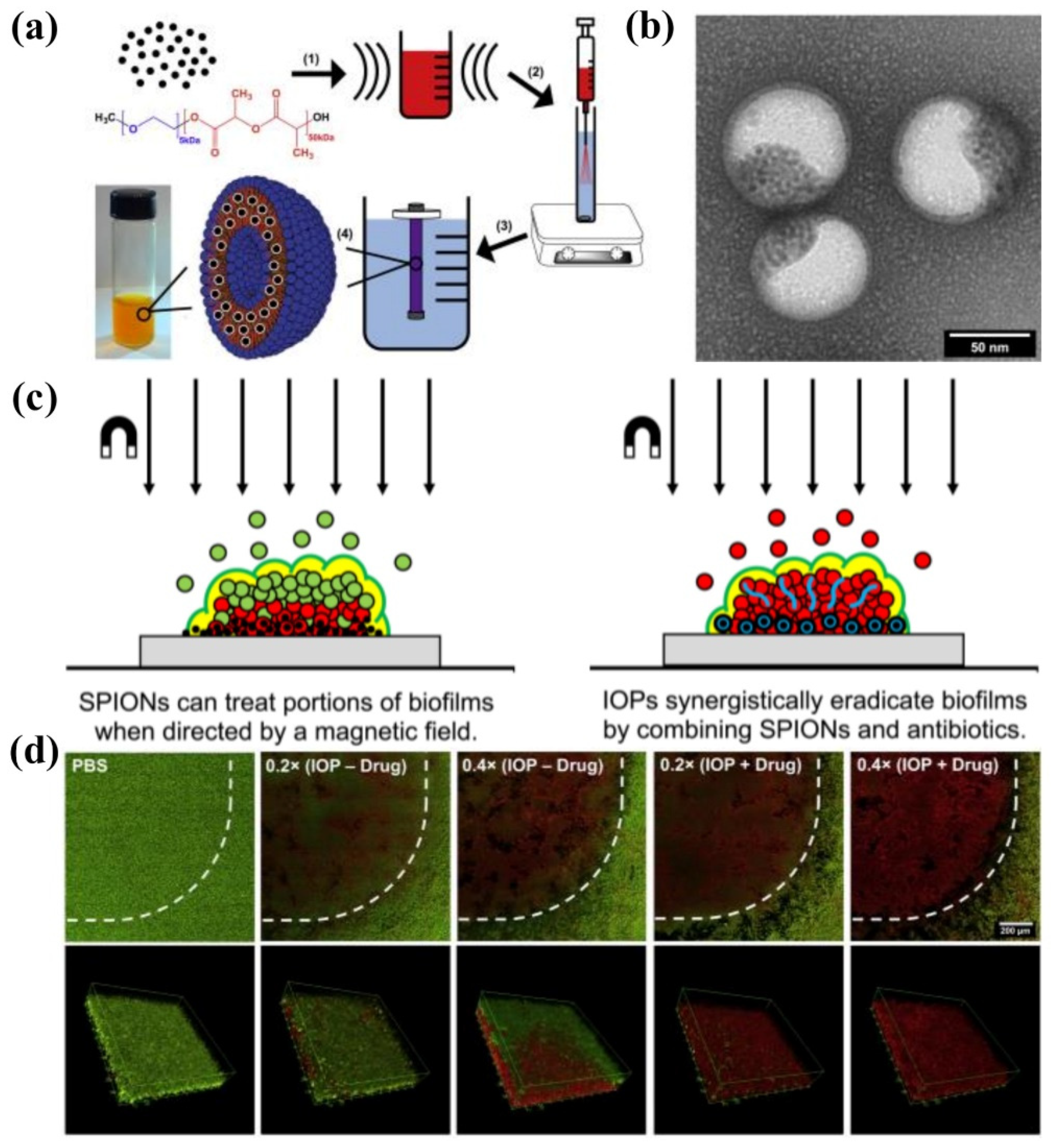 Pharmaceutics 13 02108 g011