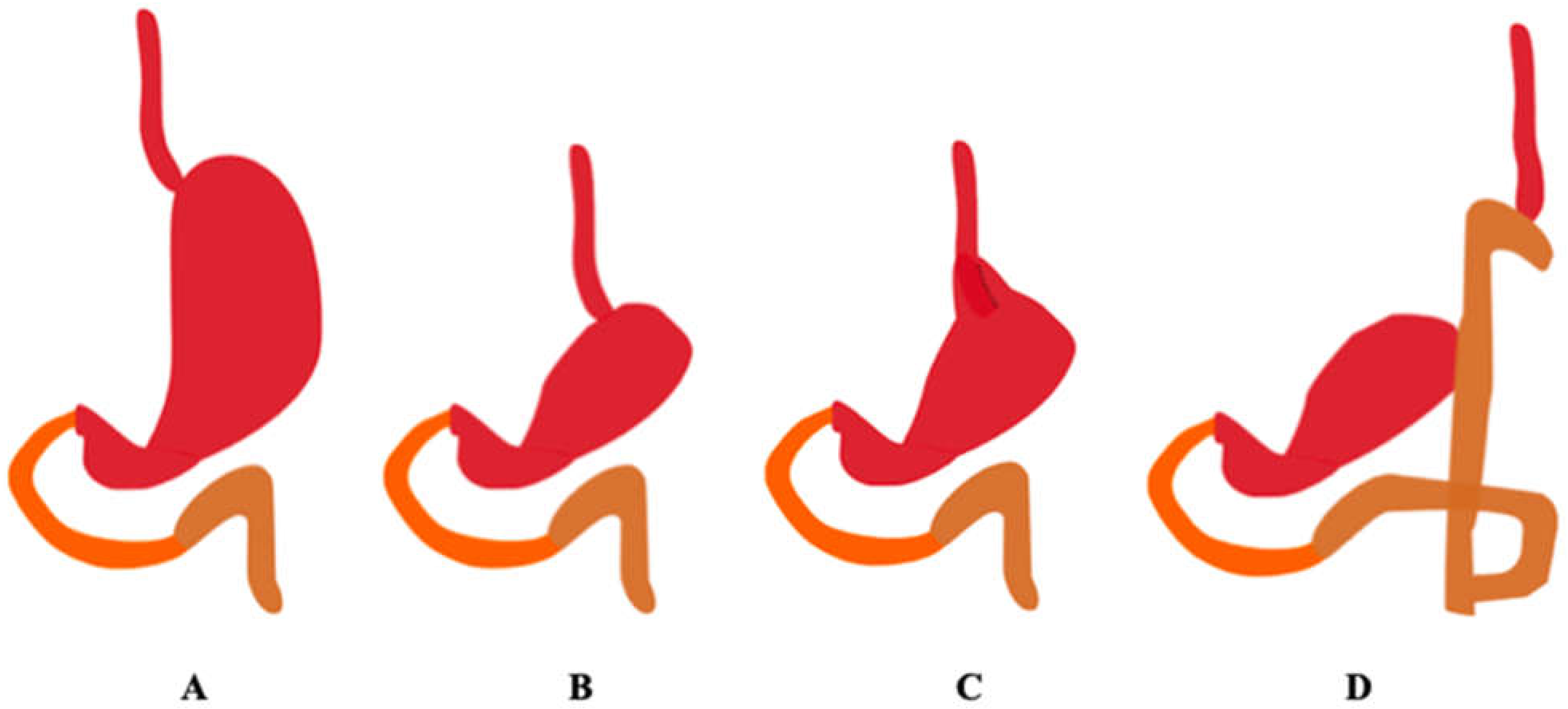 Pharmaceutics 13 02111 g004