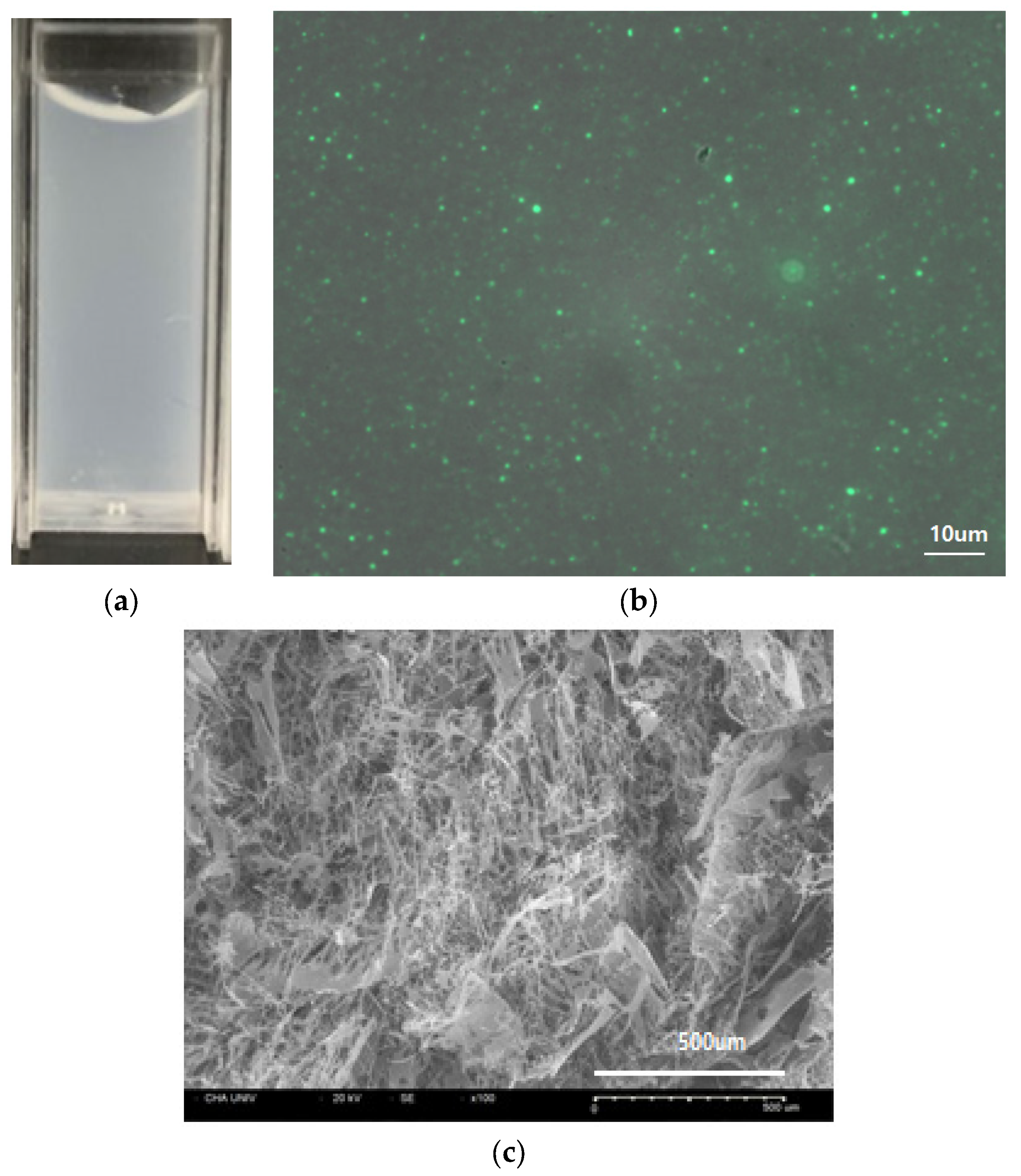 Pharmaceutics 13 02112 g002