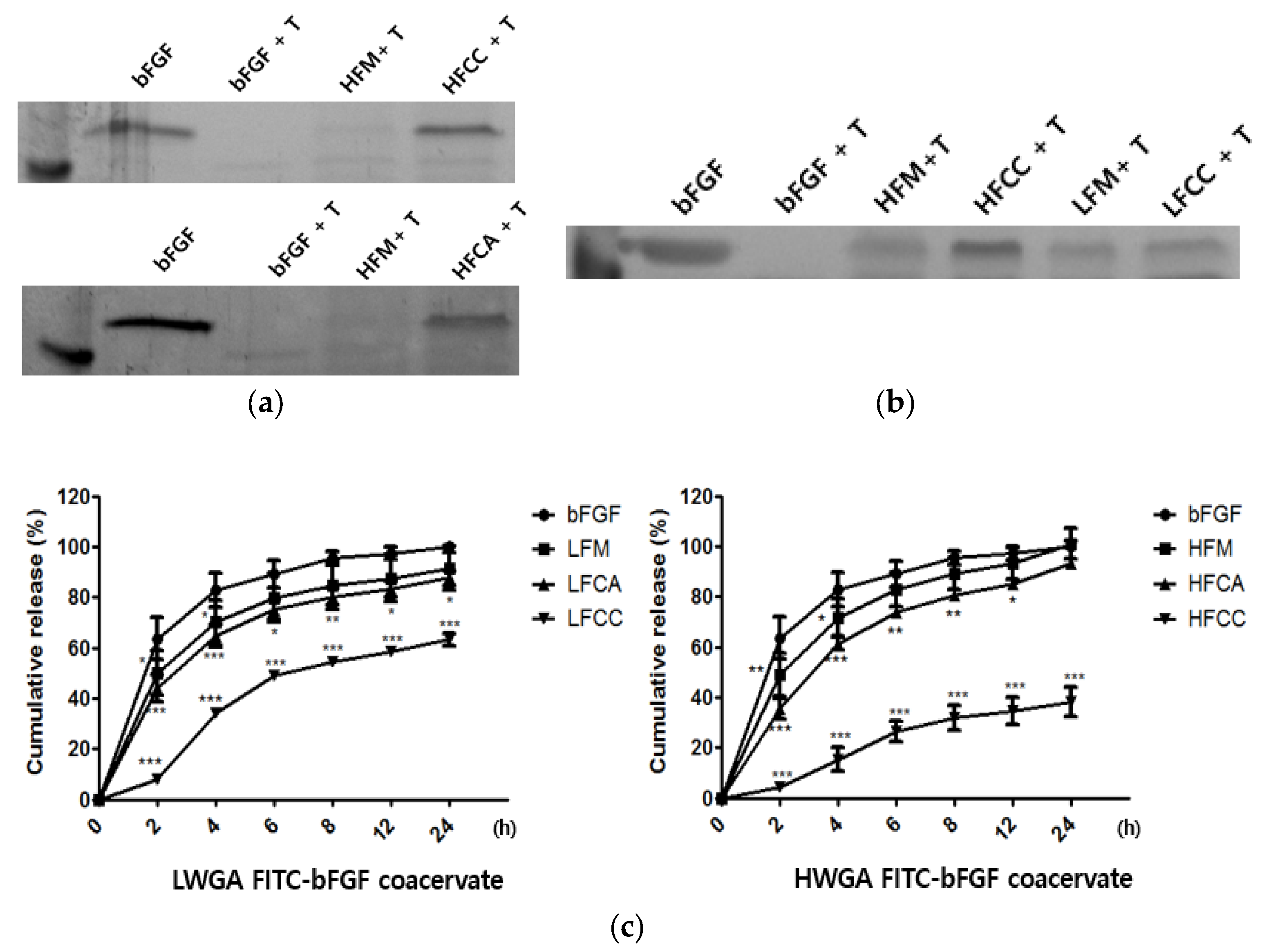 Pharmaceutics 13 02112 g003