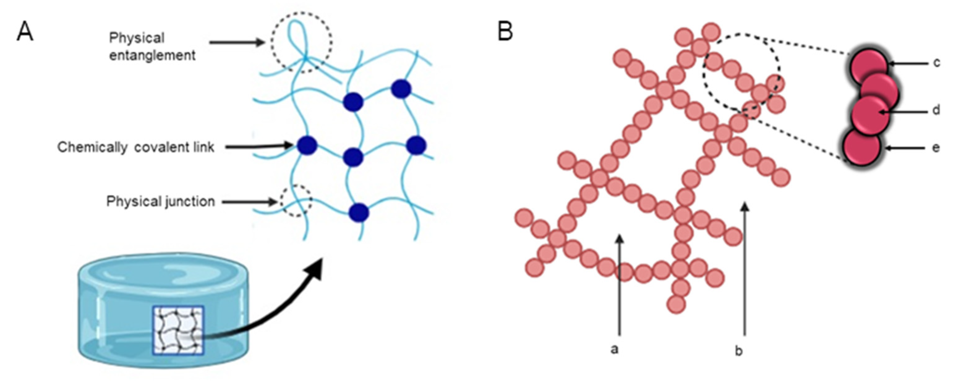 Pharmaceutics 13 02113 g001