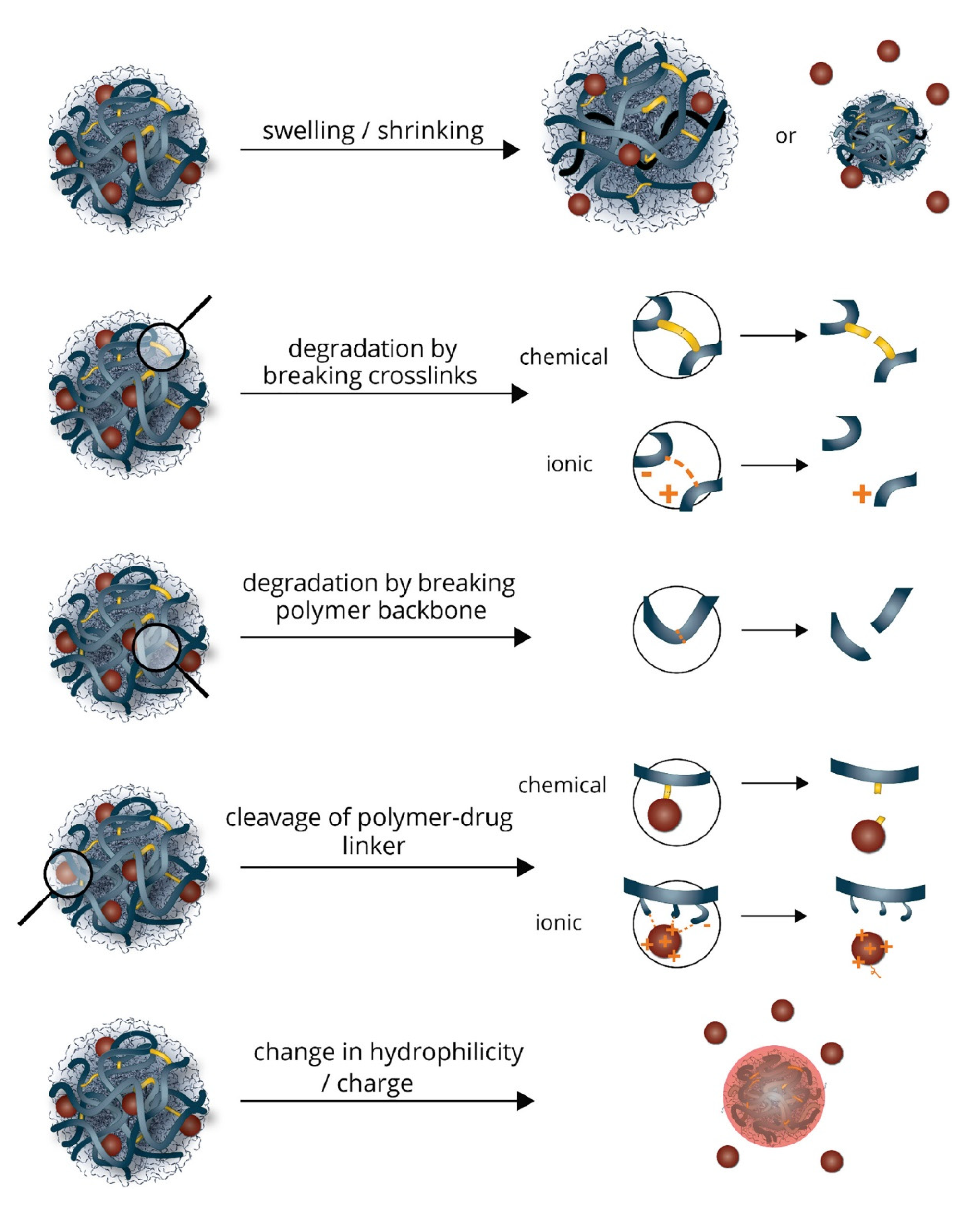 Pharmaceutics 13 02113 g003