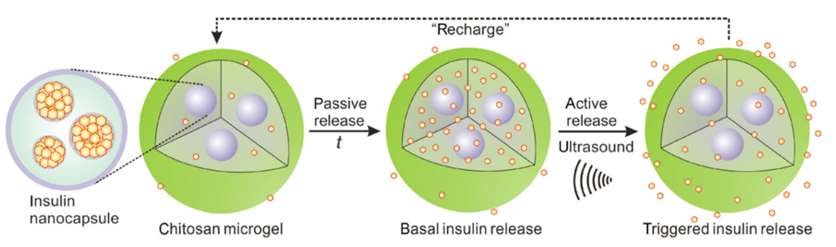 Pharmaceutics 13 02113 g005