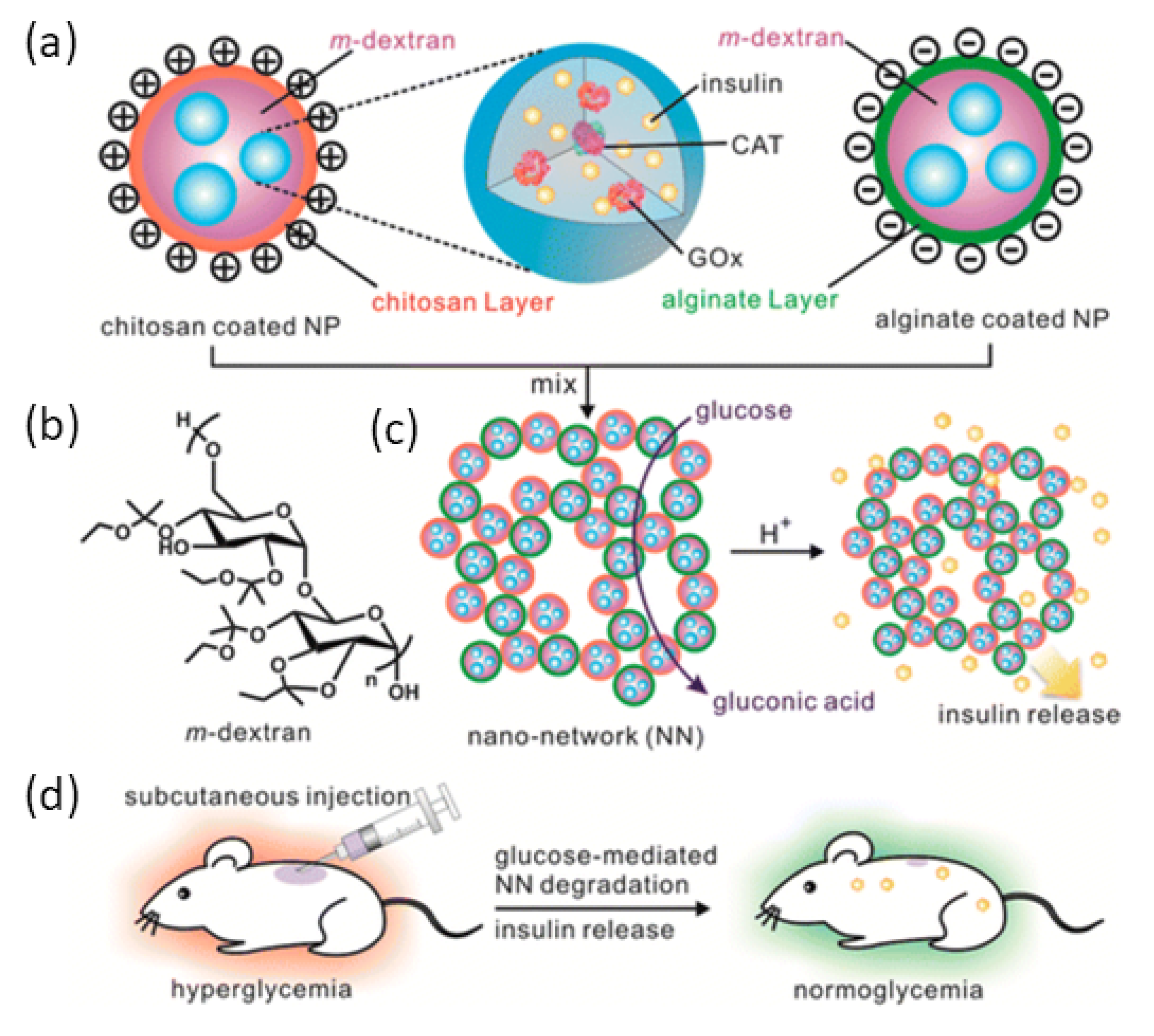 Pharmaceutics 13 02113 g008