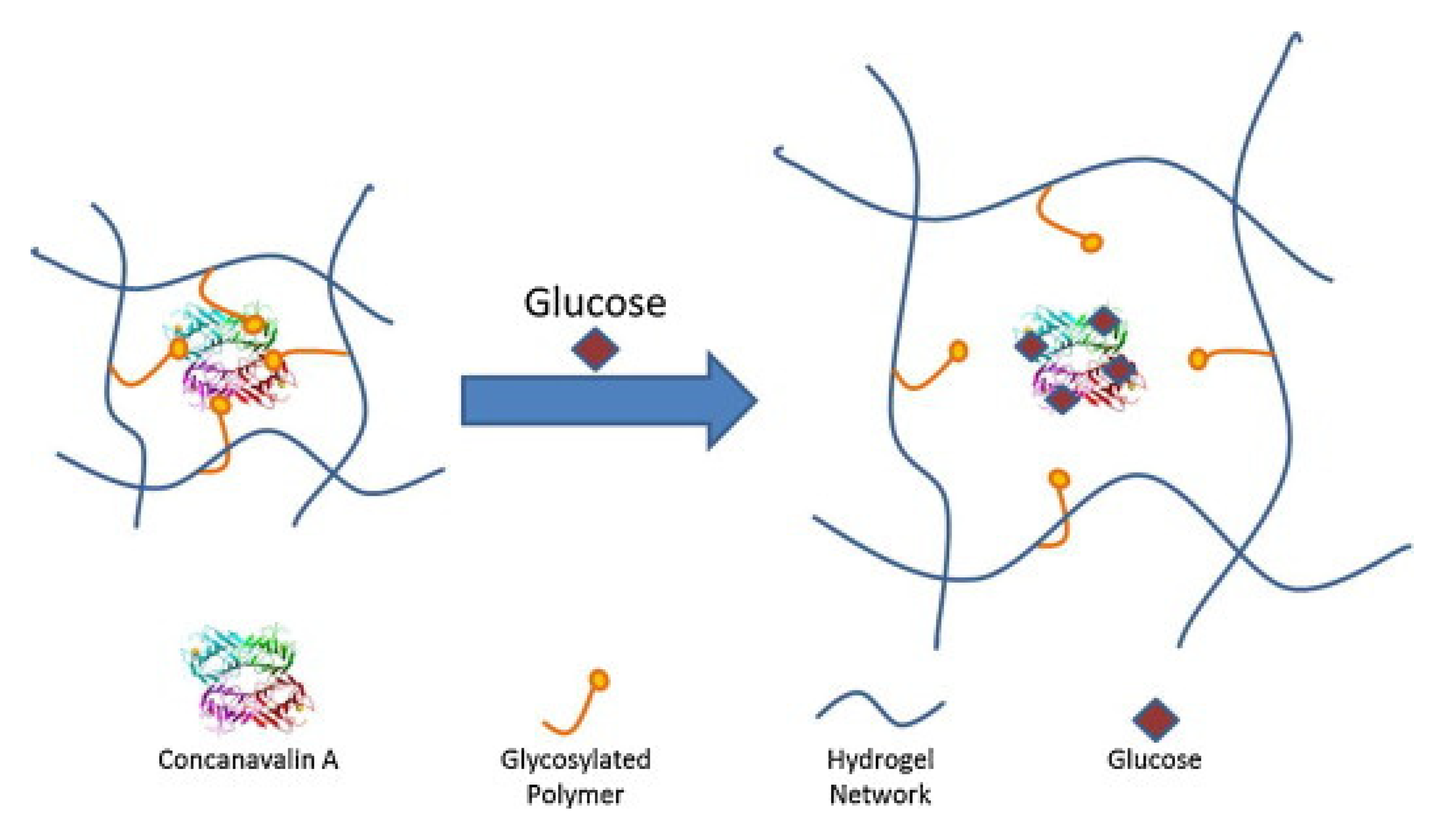 Pharmaceutics 13 02113 g009