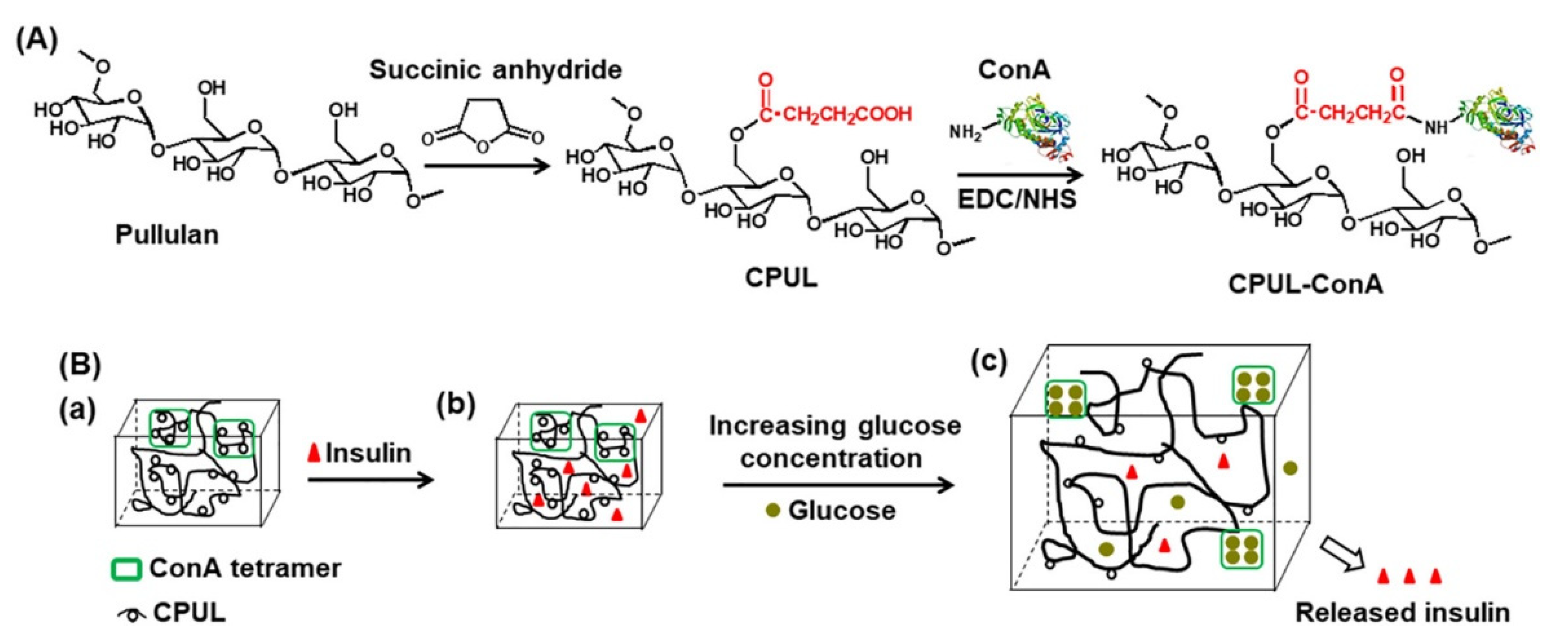 Pharmaceutics 13 02113 g010