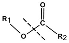 Pharmaceutics 13 02113 i003