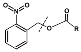 Pharmaceutics 13 02113 i005