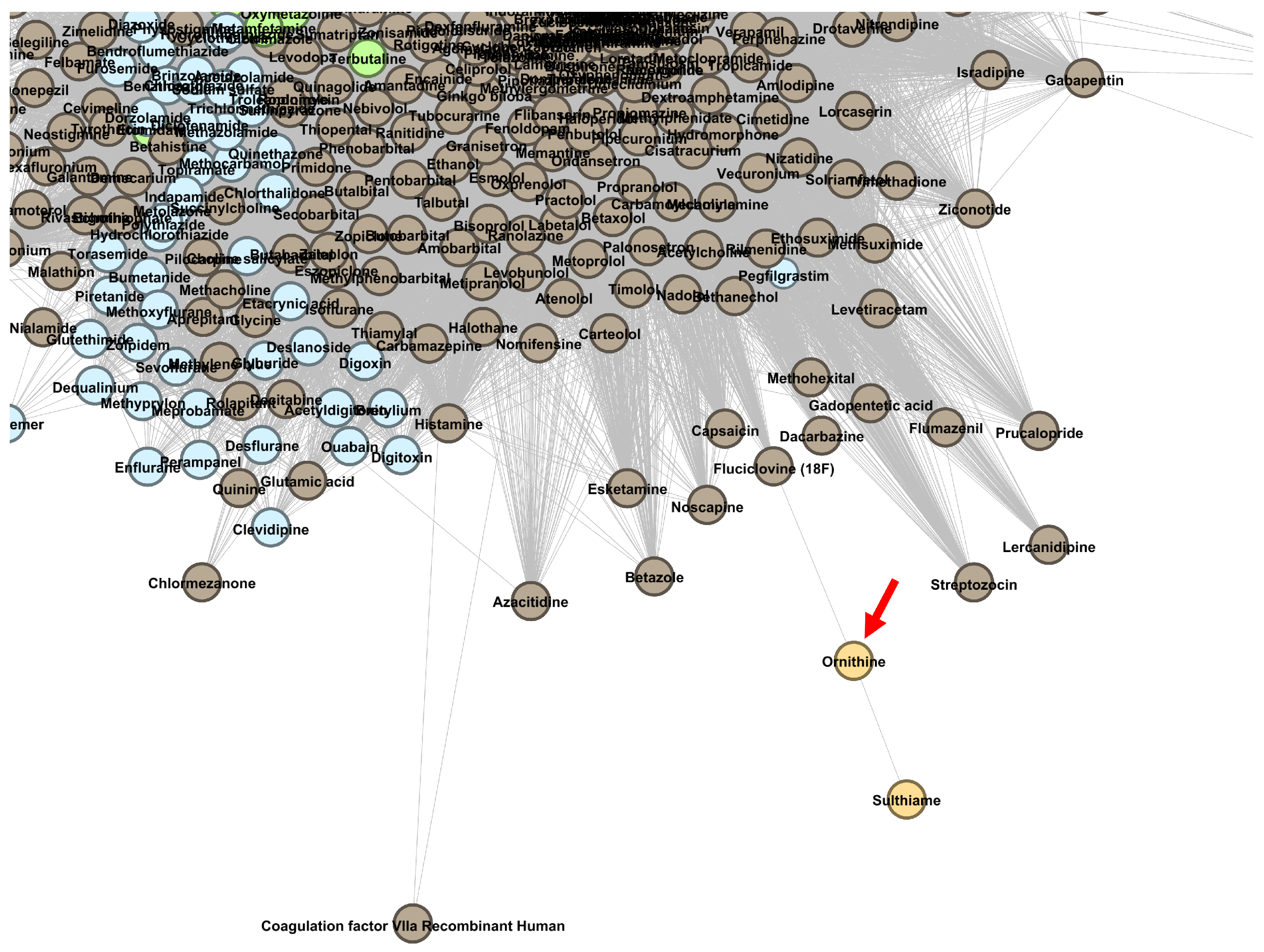 Pharmaceutics 13 02117 g010