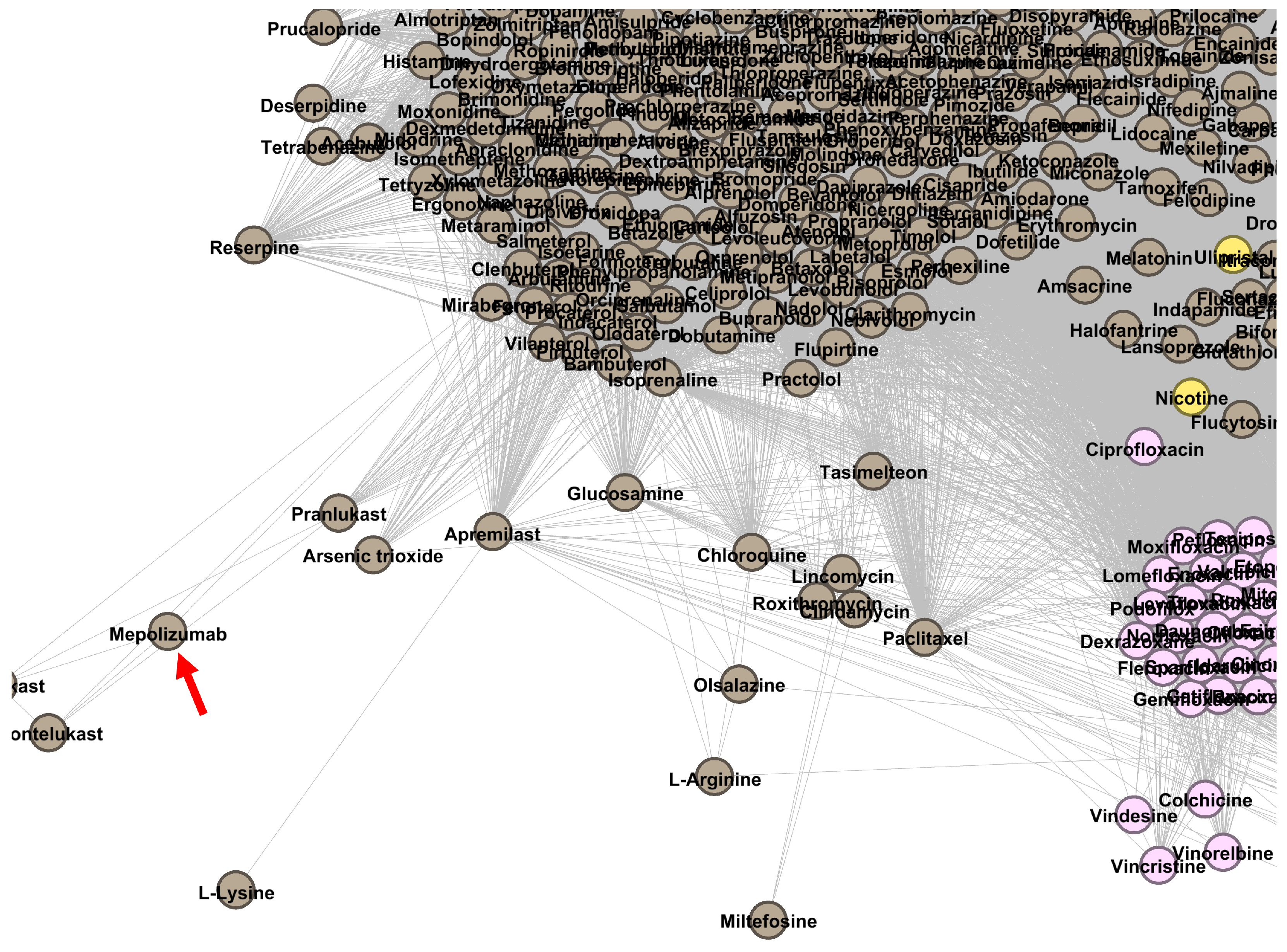 Pharmaceutics 13 02117 g0a1