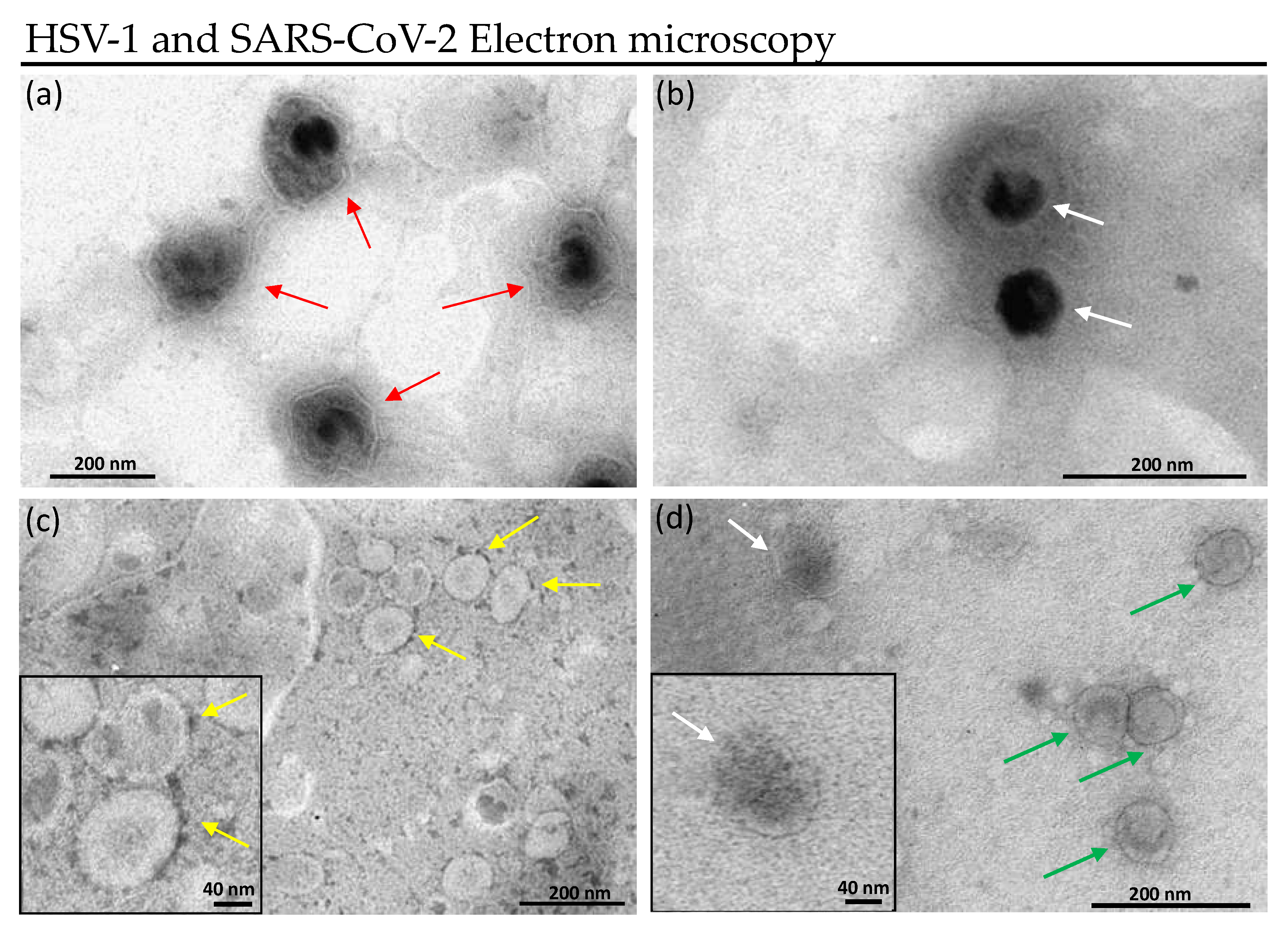 Pharmaceutics 13 02121 g005