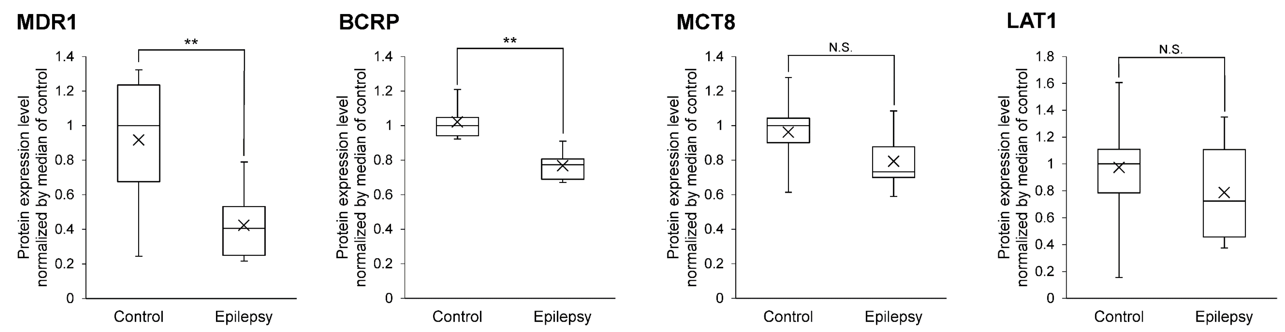 Pharmaceutics 13 02122 g001