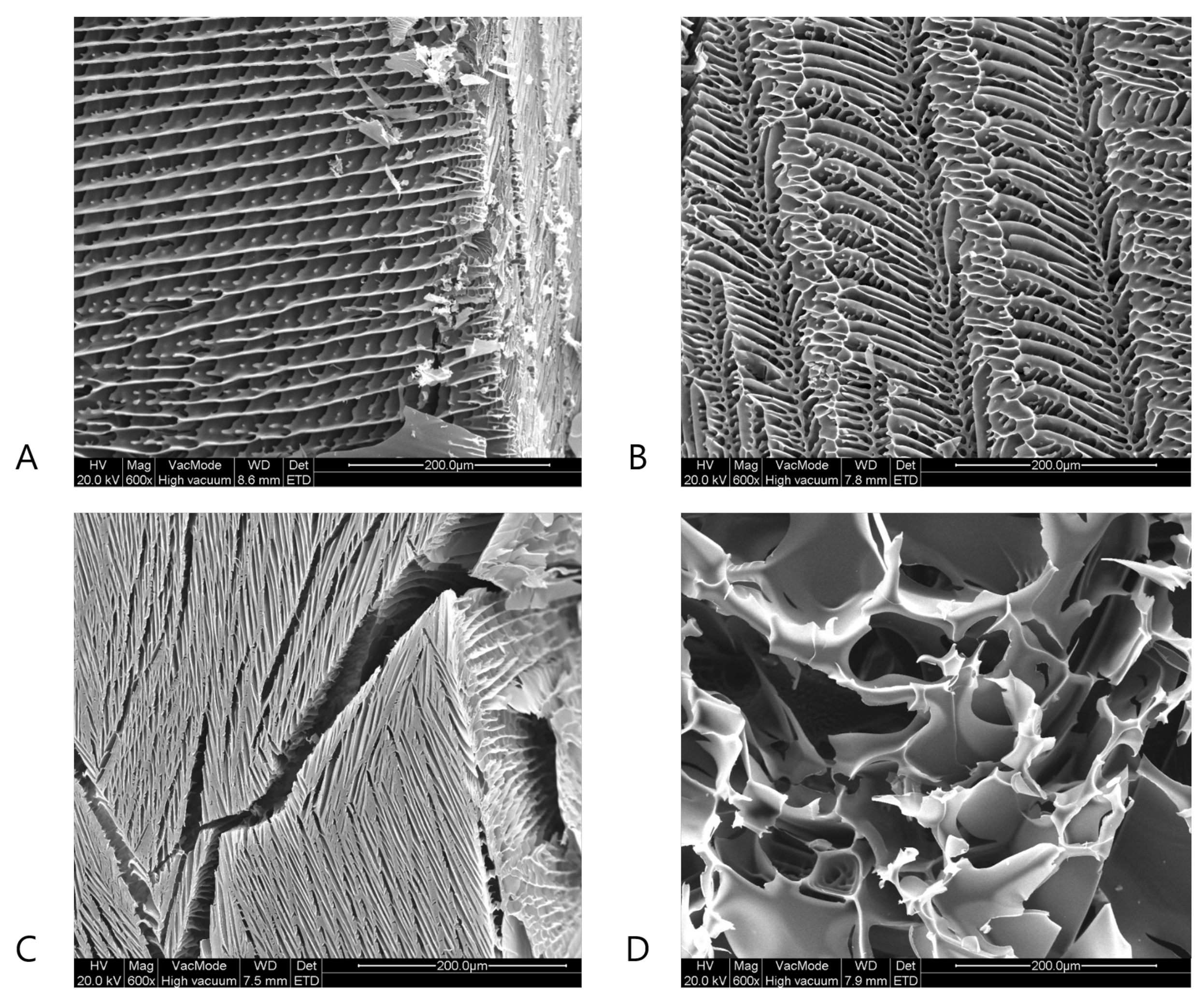 Pharmaceutics 13 02126 g006