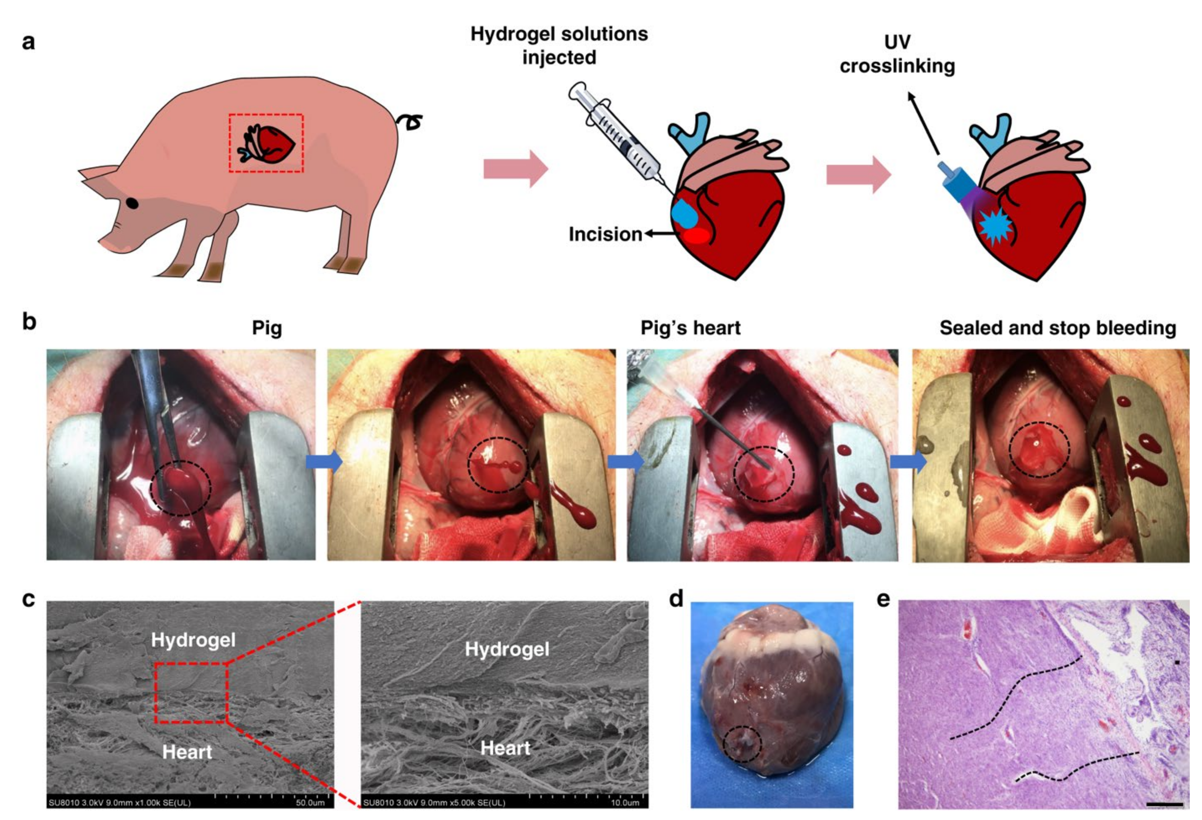 Pharmaceutics 13 02127 g002
