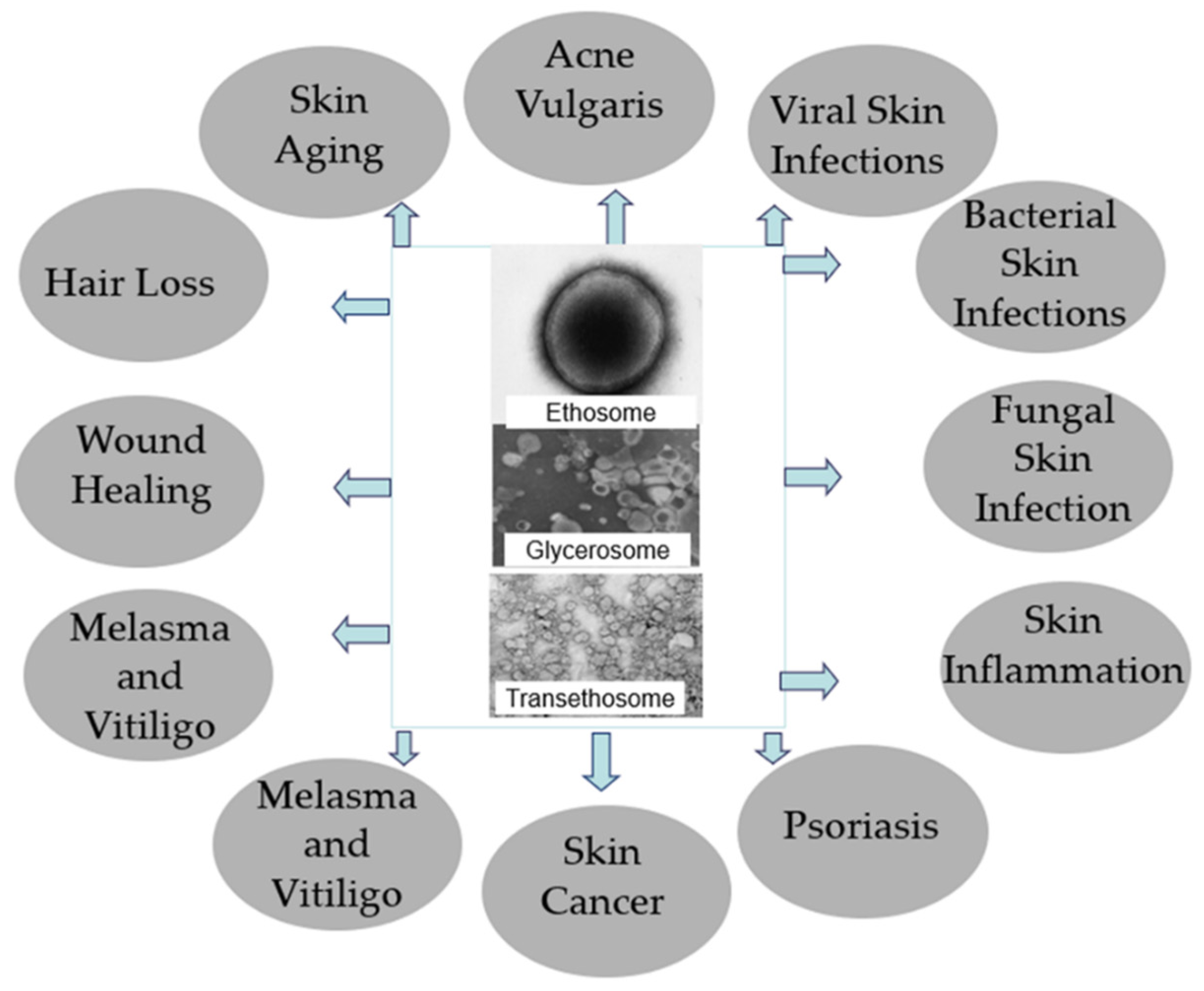 Pharmaceutics 13 02129 g002