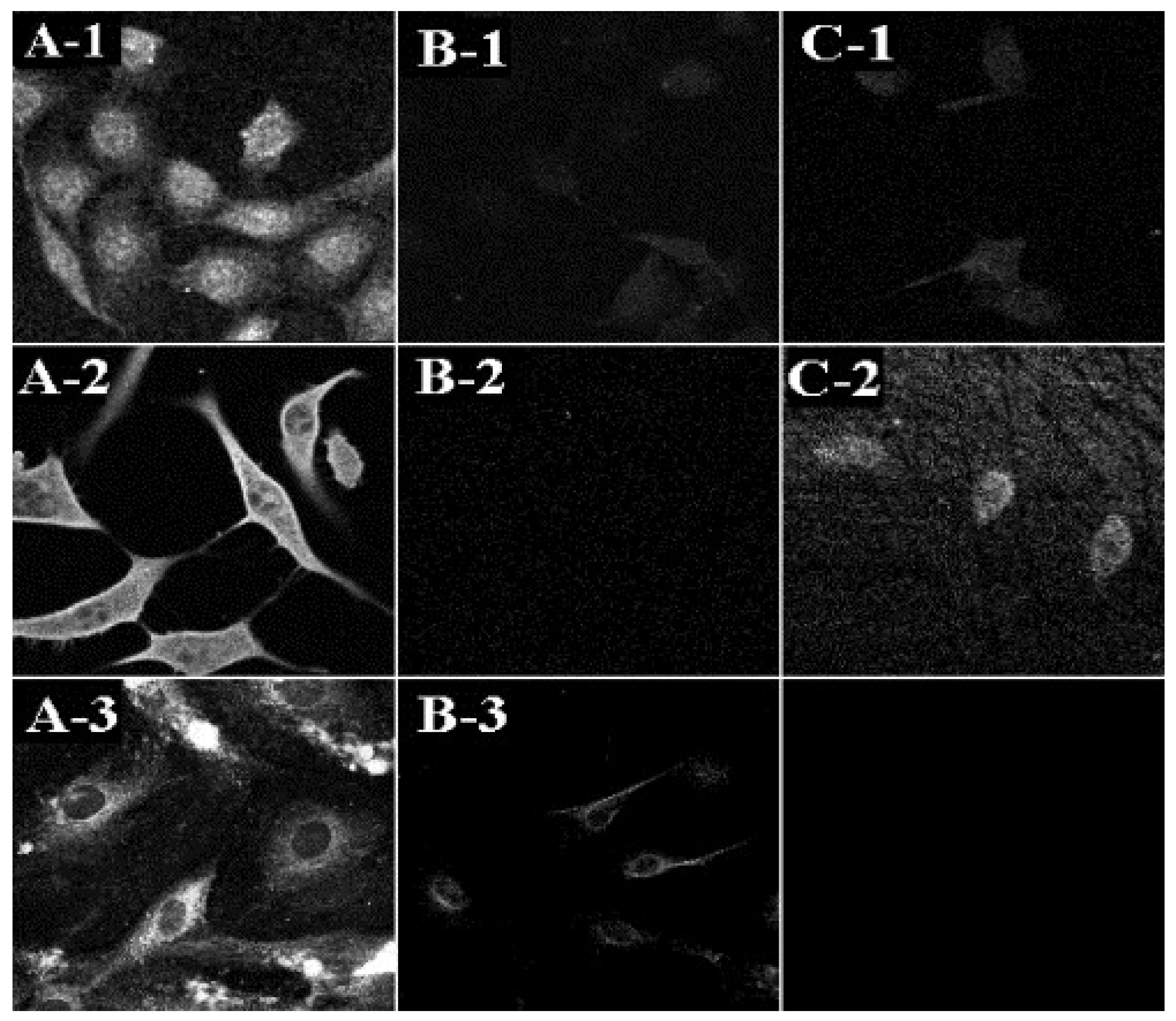 Pharmaceutics 13 02129 g005