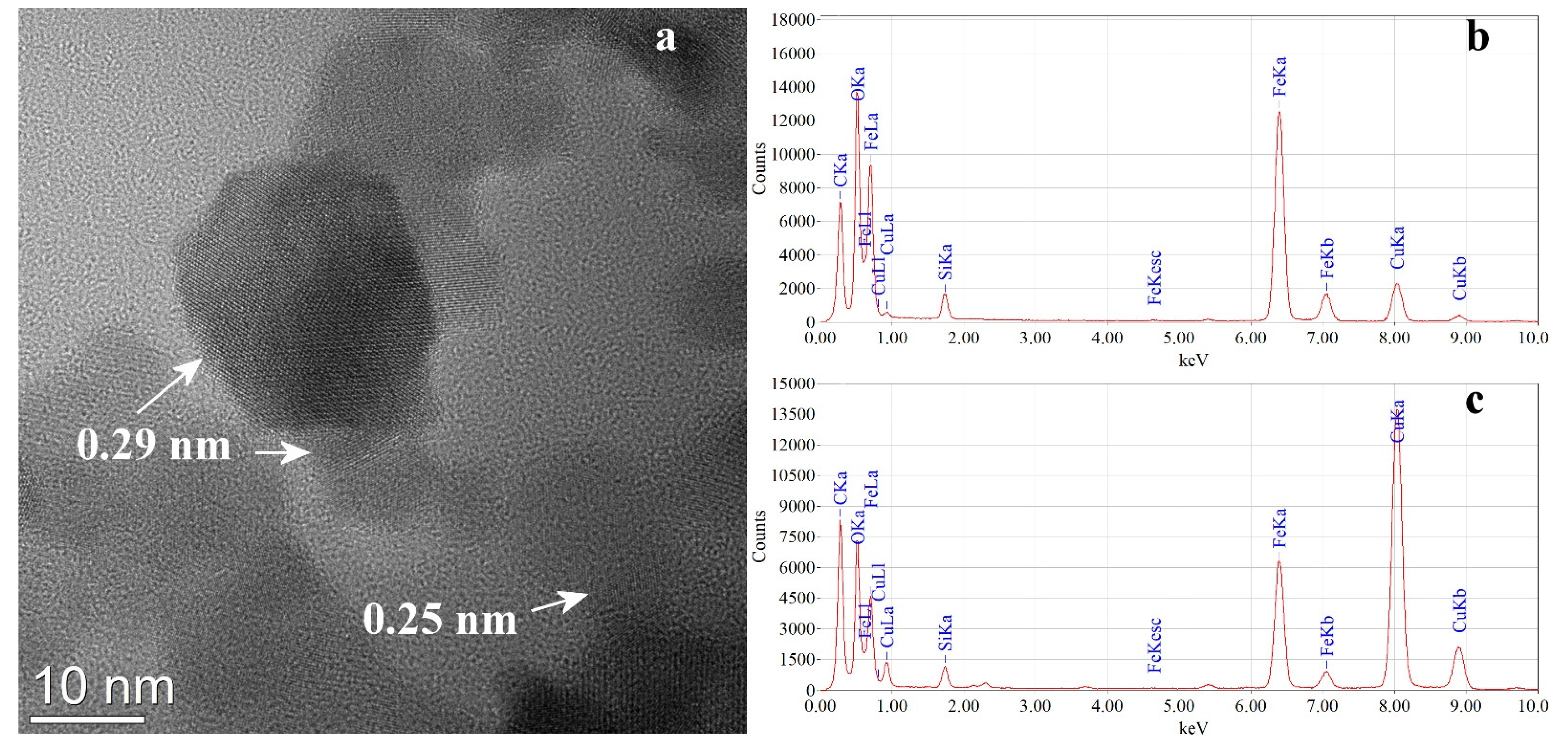 Pharmaceutics 13 02130 g005 Pharmaceutics 13 02130 g005