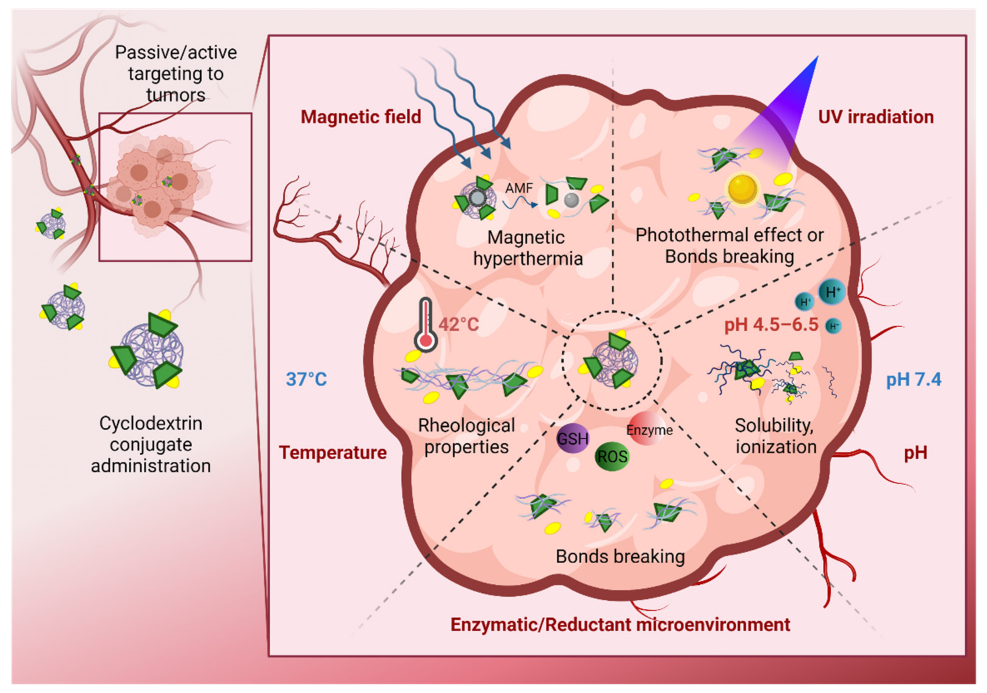 Pharmaceutics 13 02131 g004
