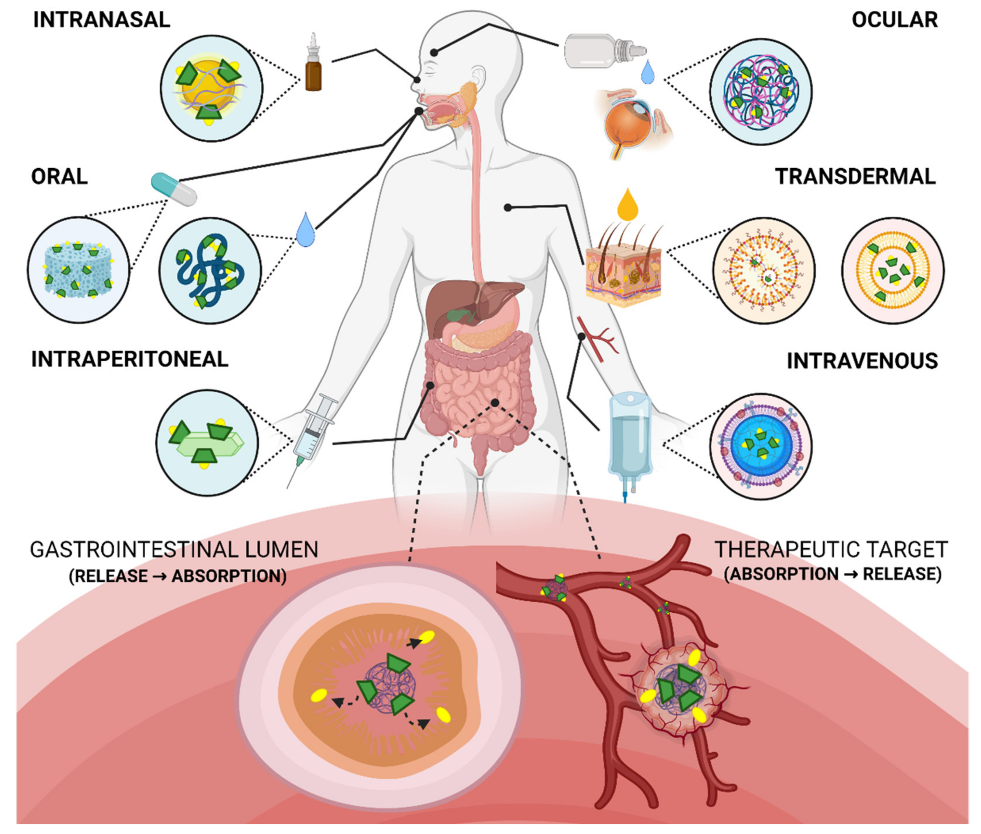 Pharmaceutics 13 02131 g005