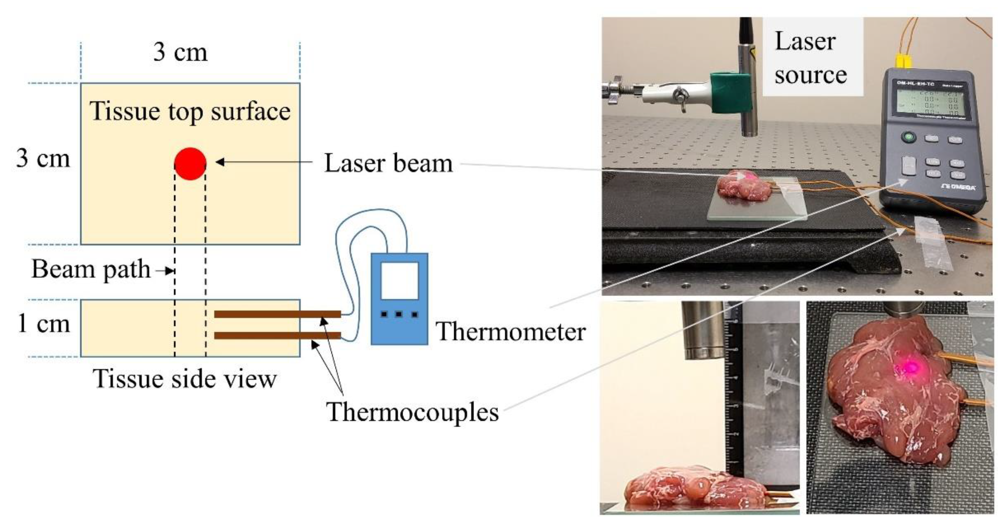 Pharmaceutics 13 02133 g002