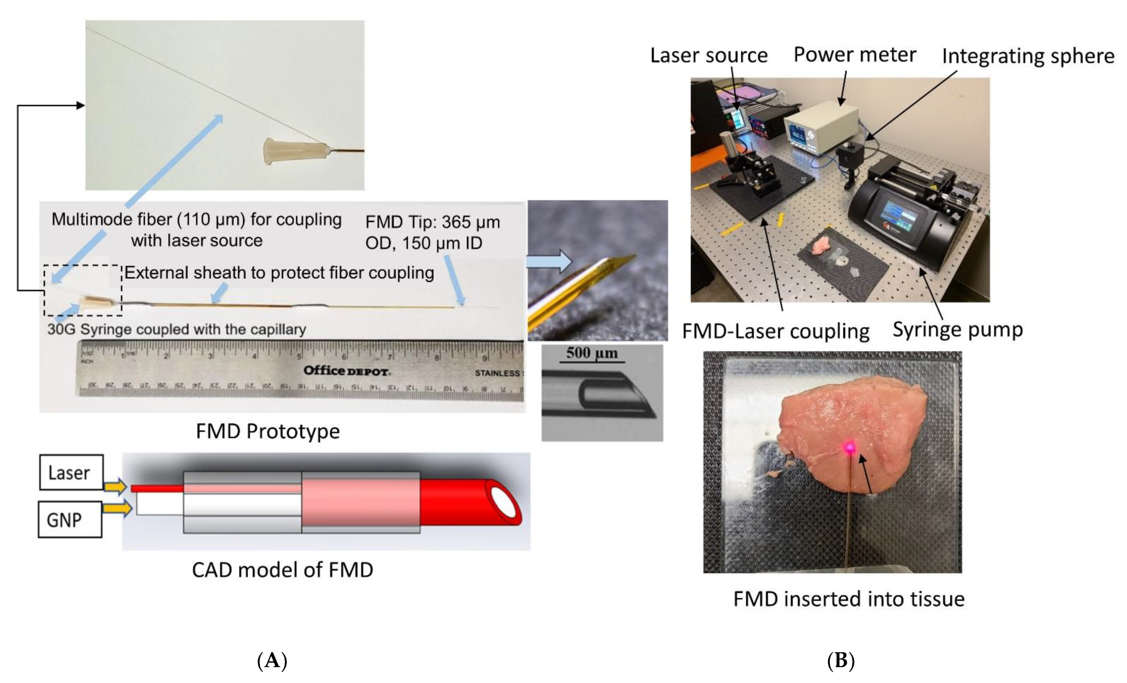 Pharmaceutics 13 02133 g003