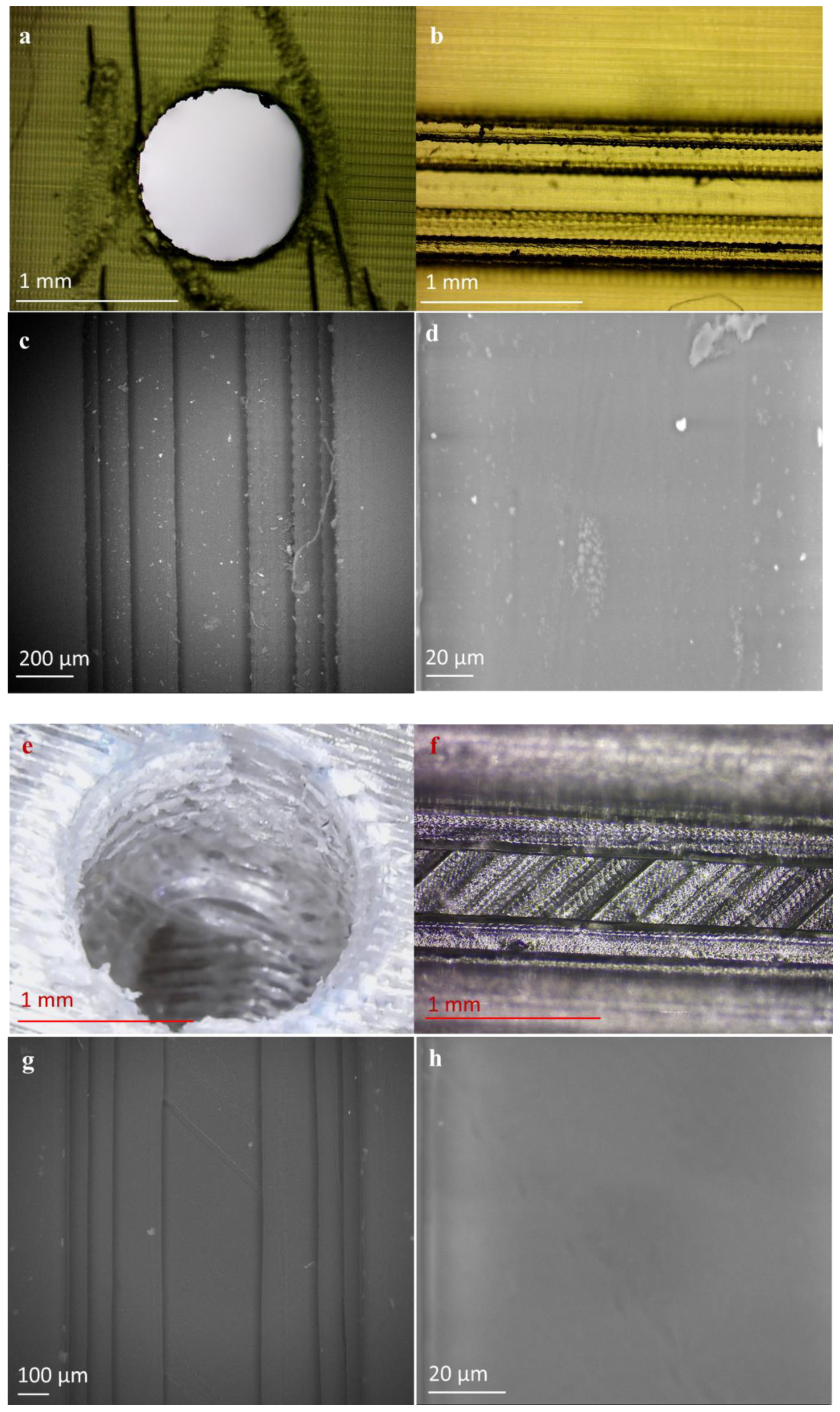 Pharmaceutics 13 02134 g003