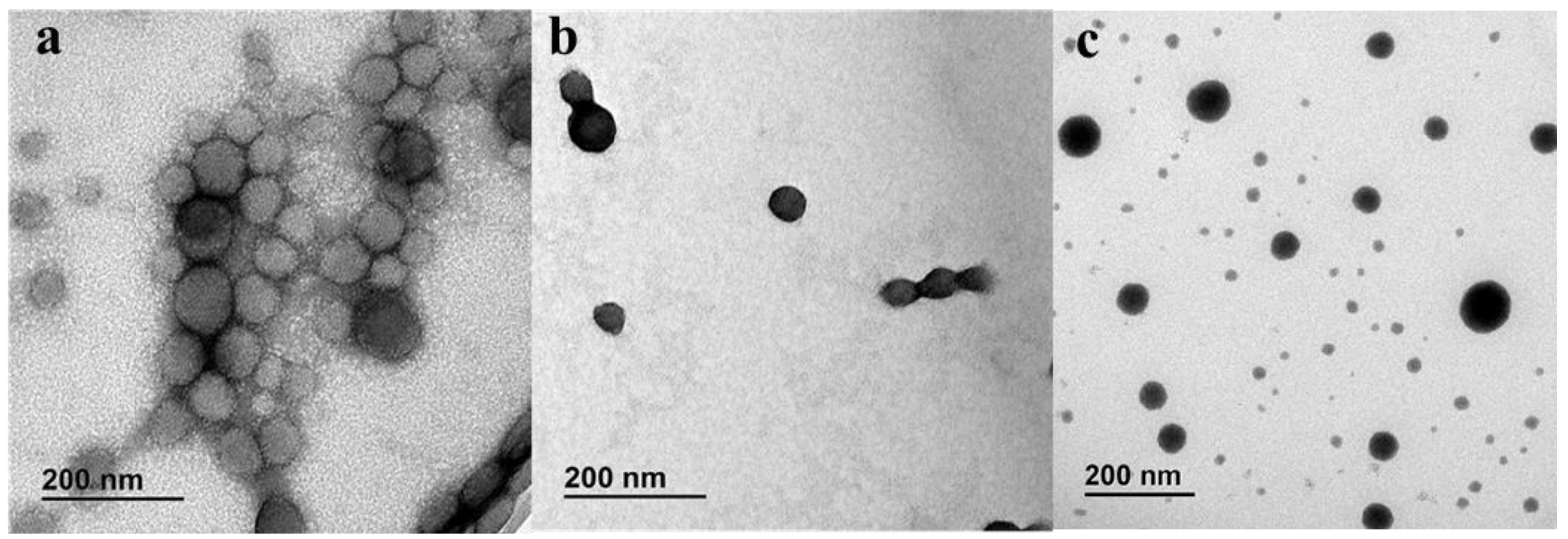 Pharmaceutics 13 02134 g004