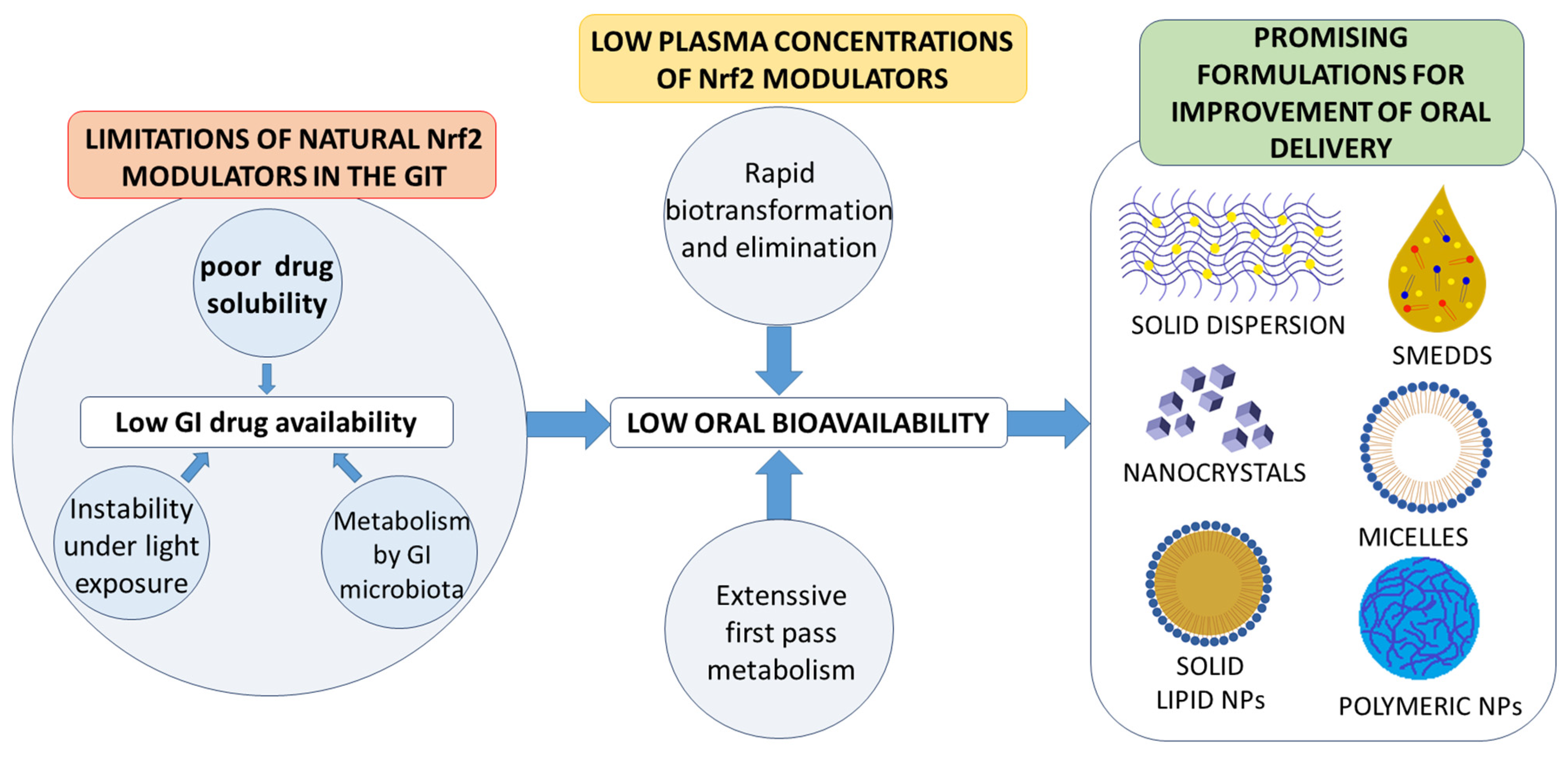 Pharmaceutics 13 02137 g002