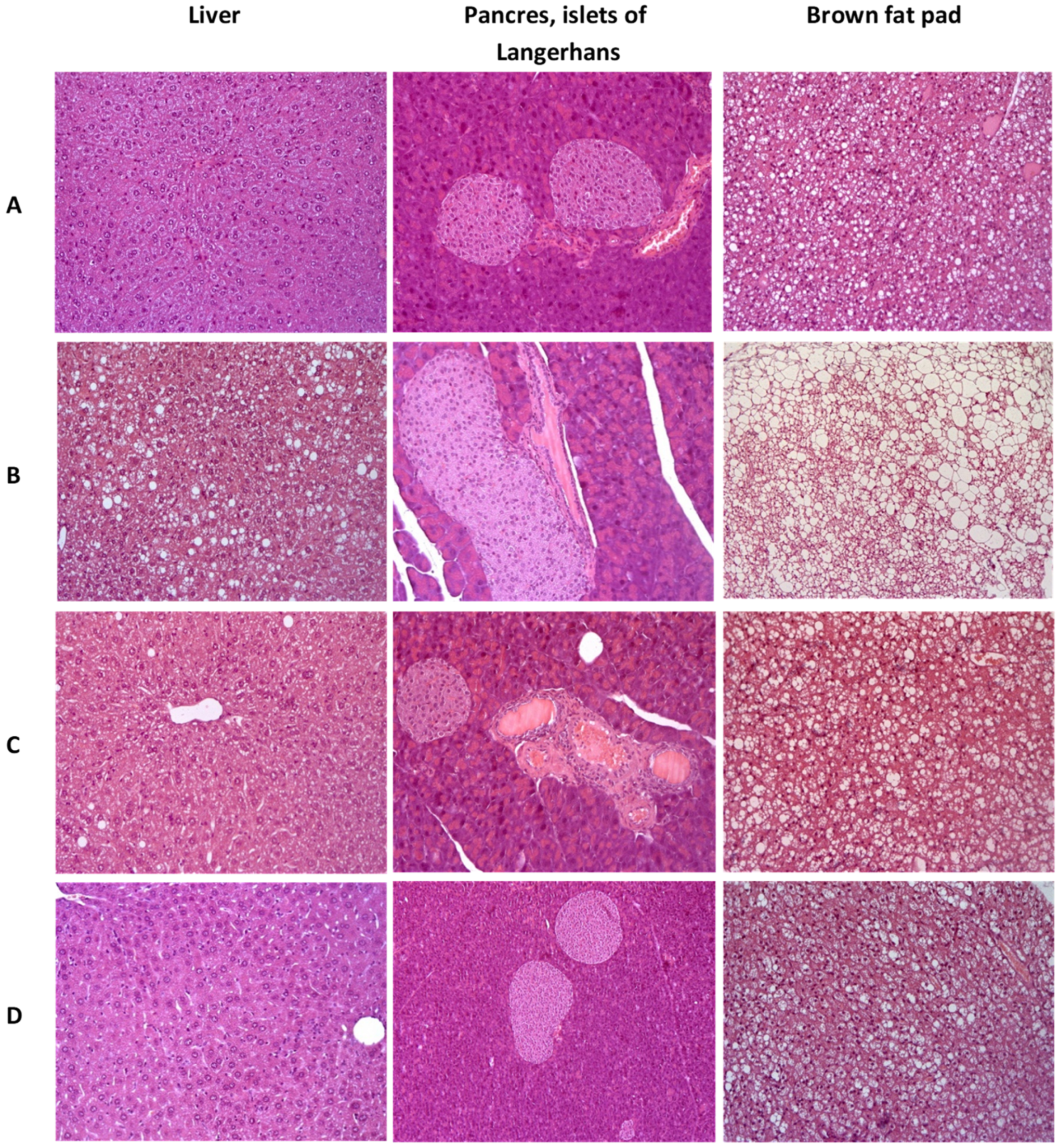 Pharmaceutics 13 02138 g009