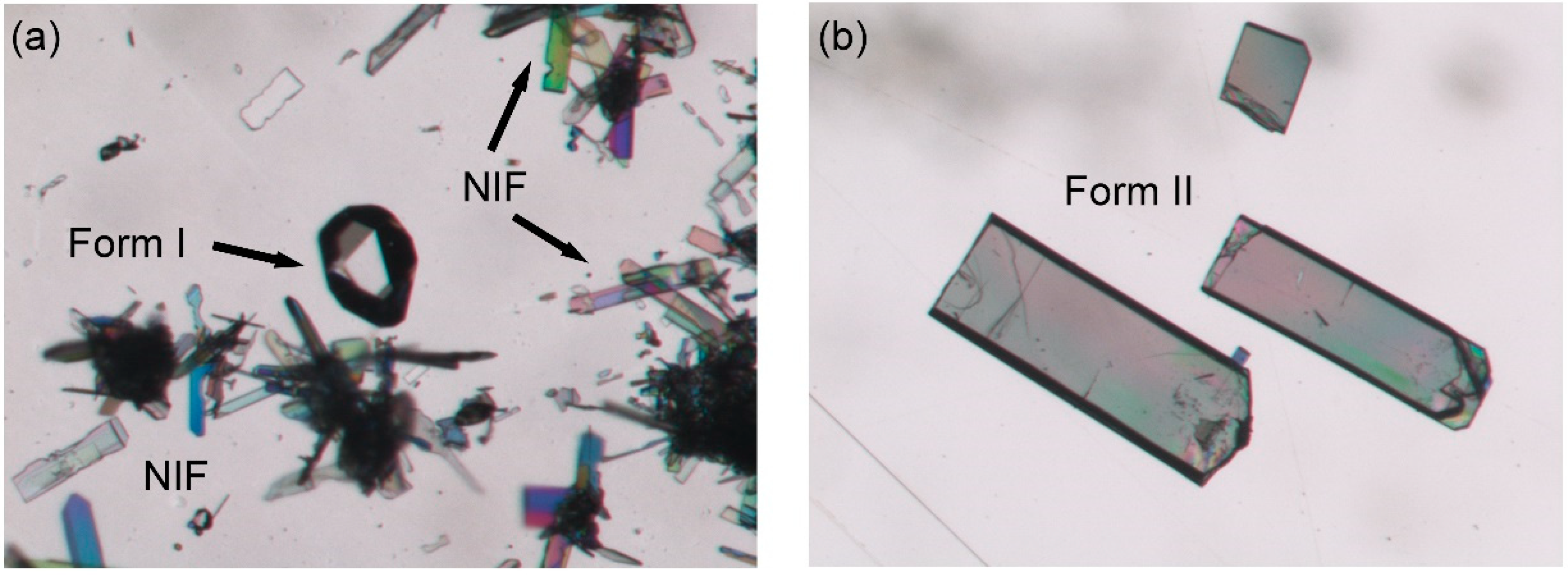 Pharmaceutics 13 02140 g003