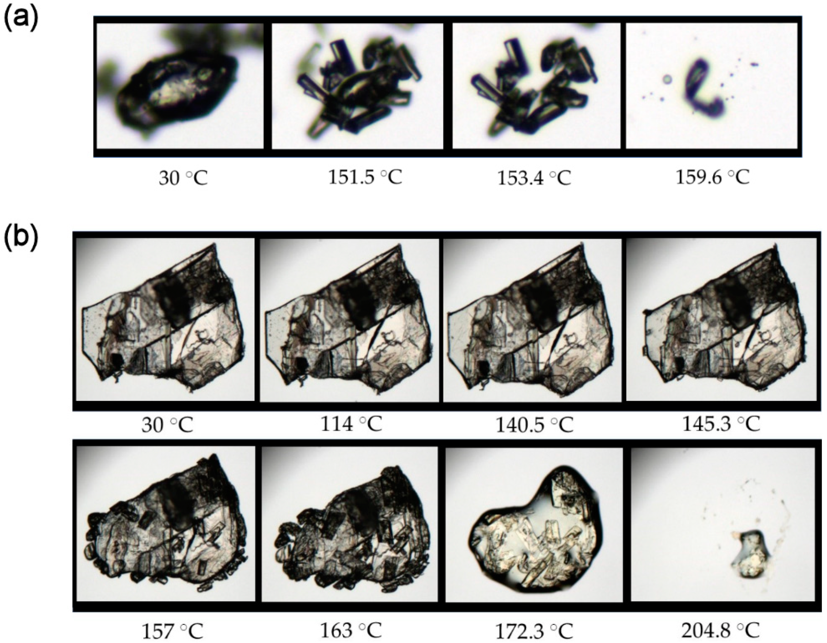 Pharmaceutics 13 02140 g016