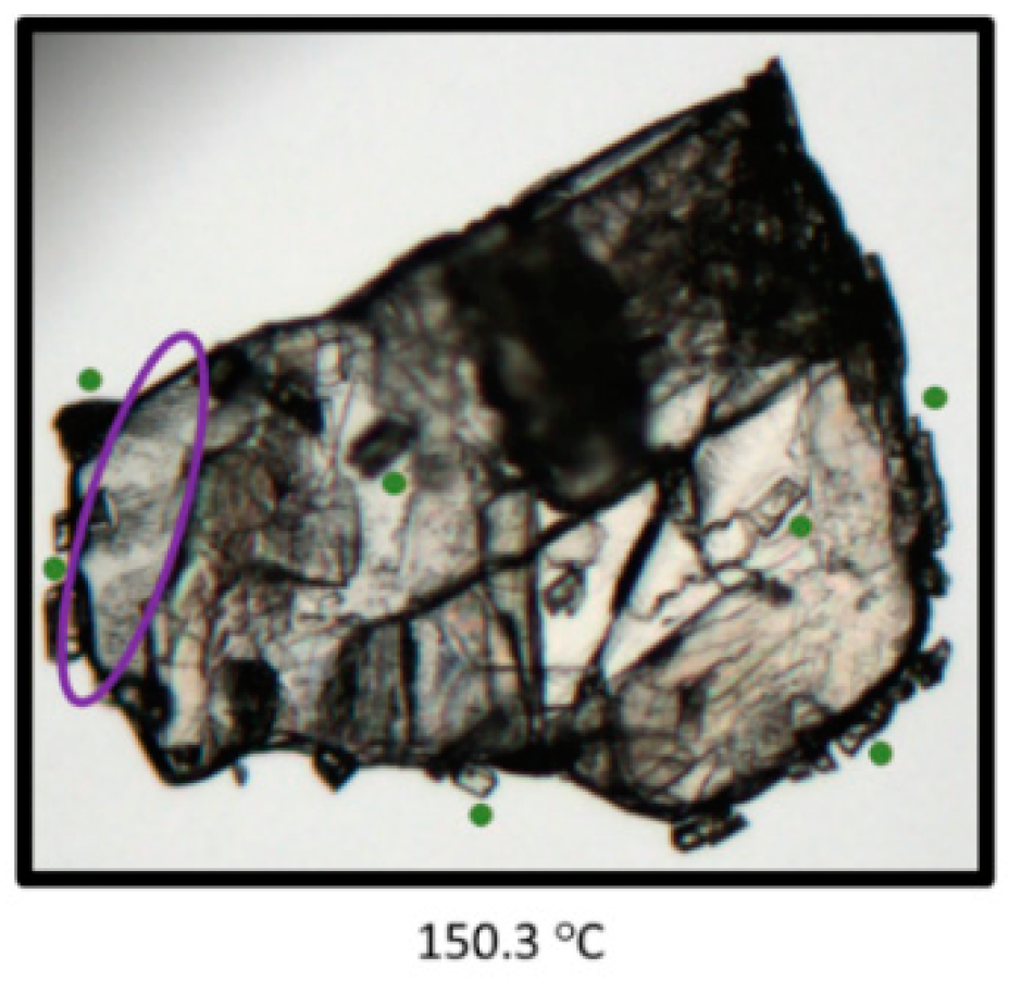 Pharmaceutics 13 02140 g017
