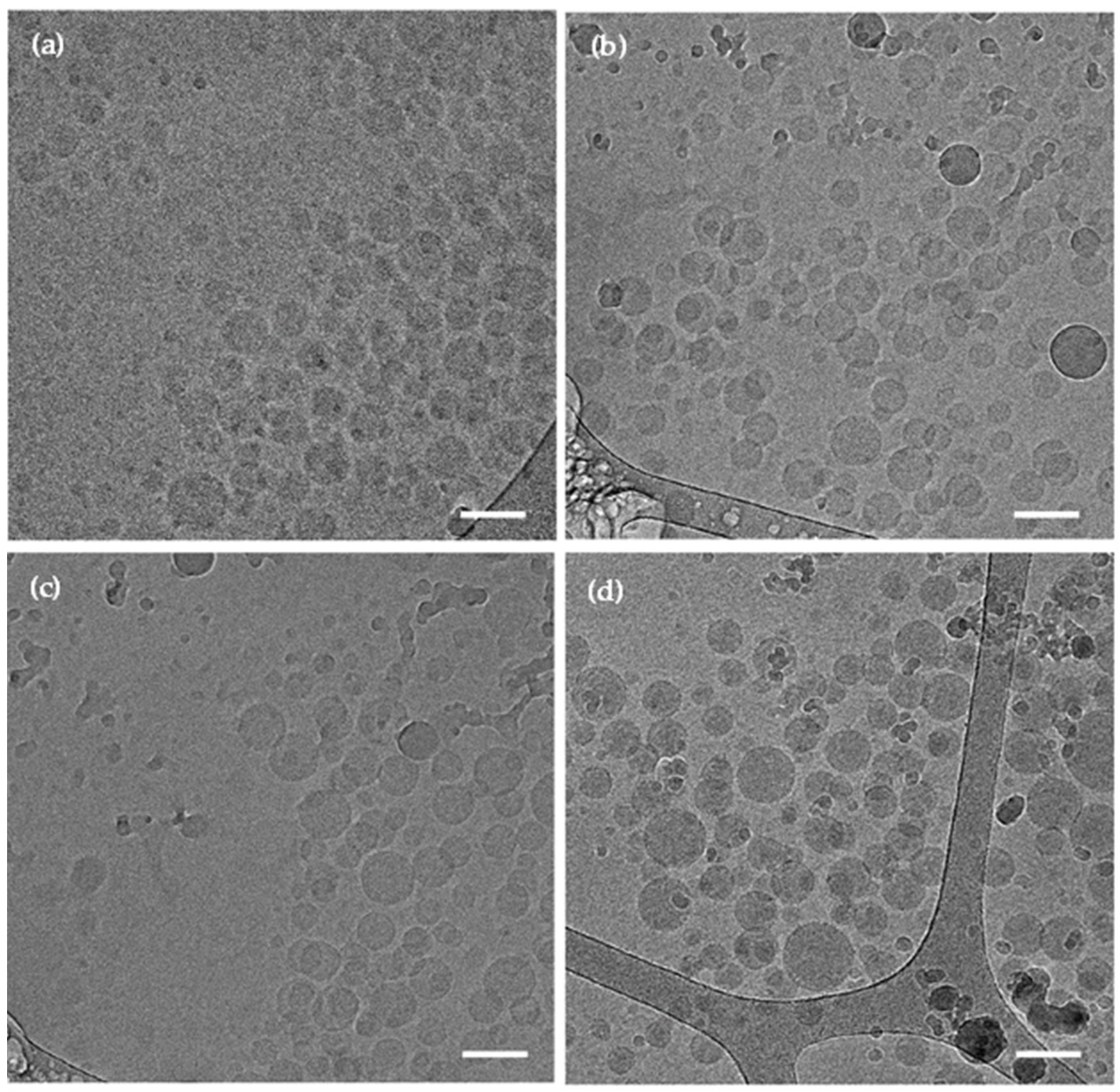 Pharmaceutics 13 02142 g002