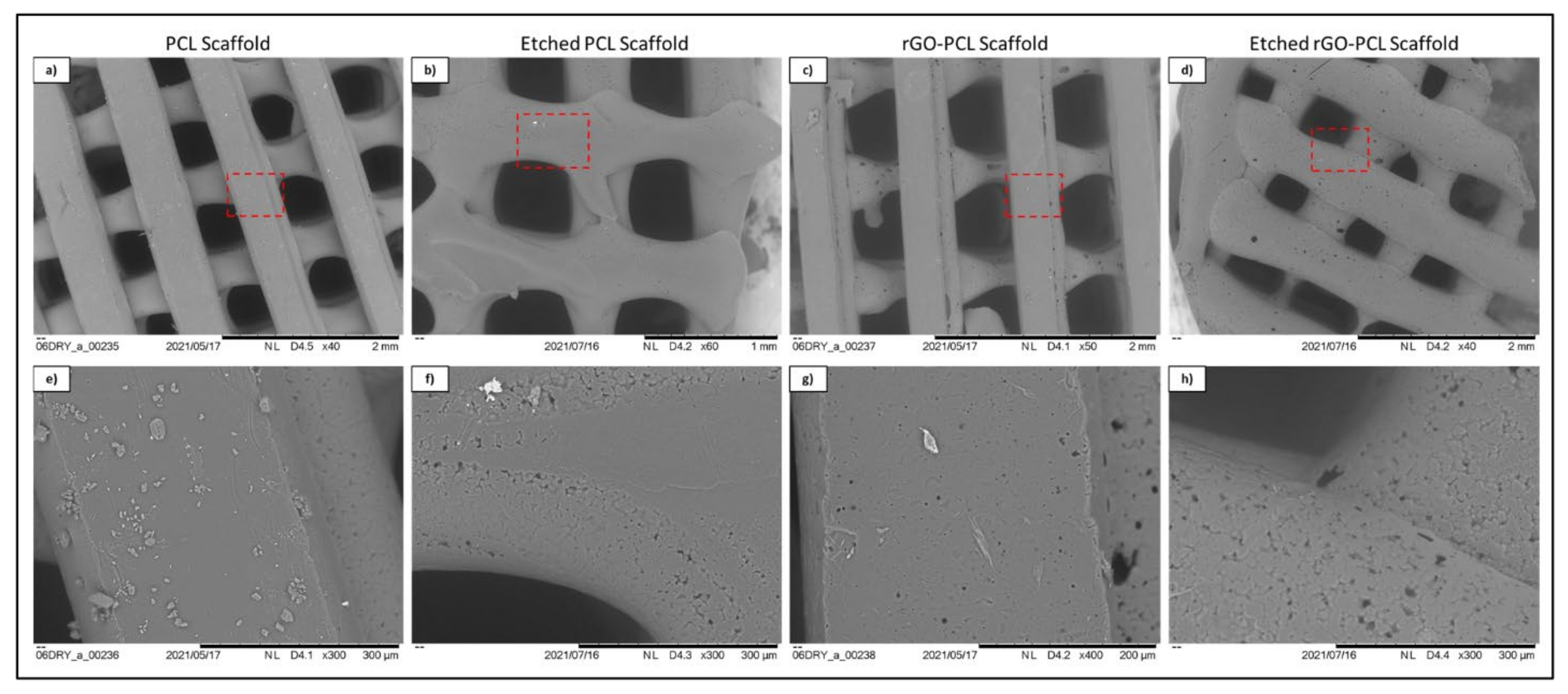 Pharmaceutics 13 02146 g005