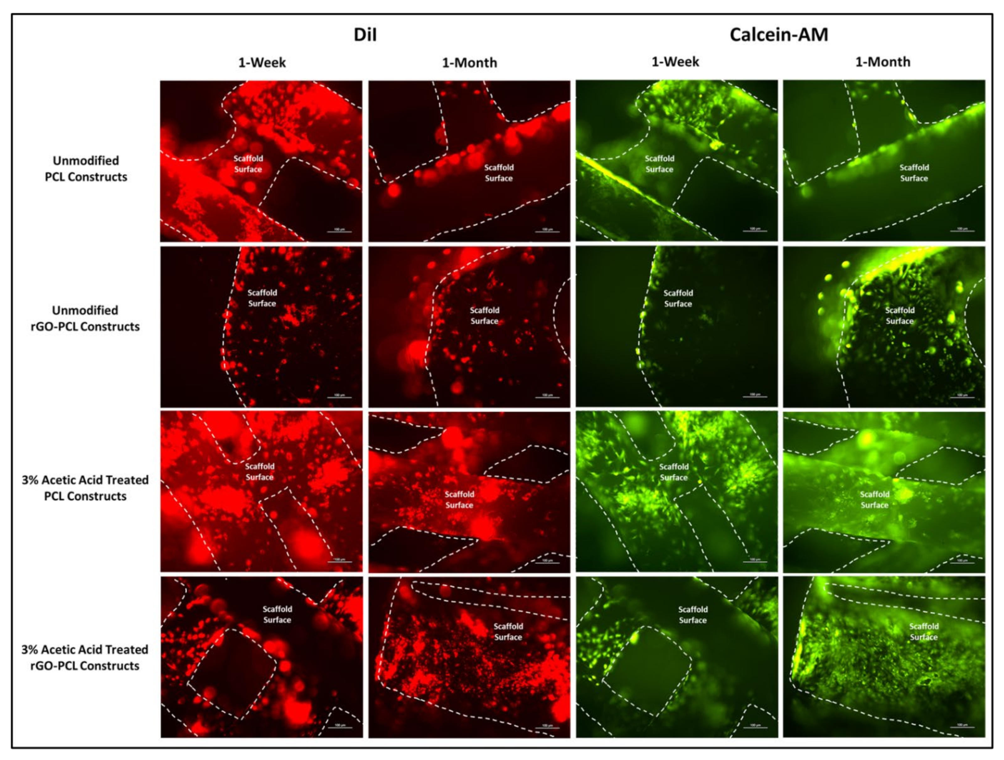 Pharmaceutics 13 02146 g007