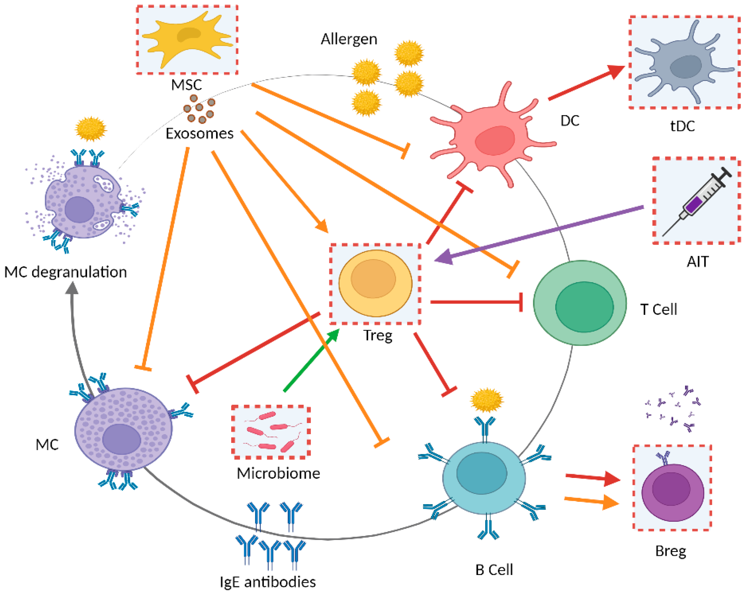 Pharmaceutics 13 02149 g002