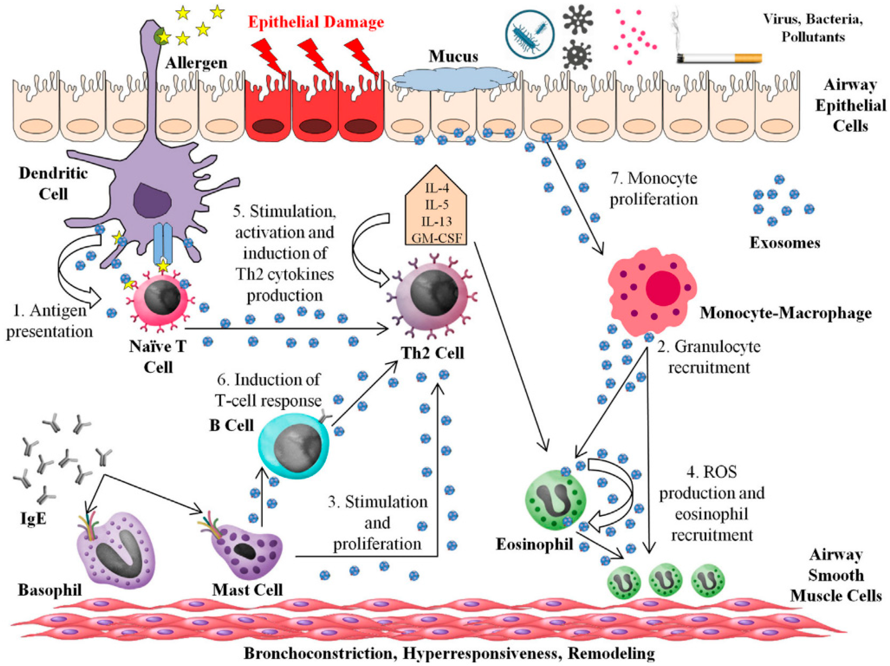 Pharmaceutics 13 02149 g003