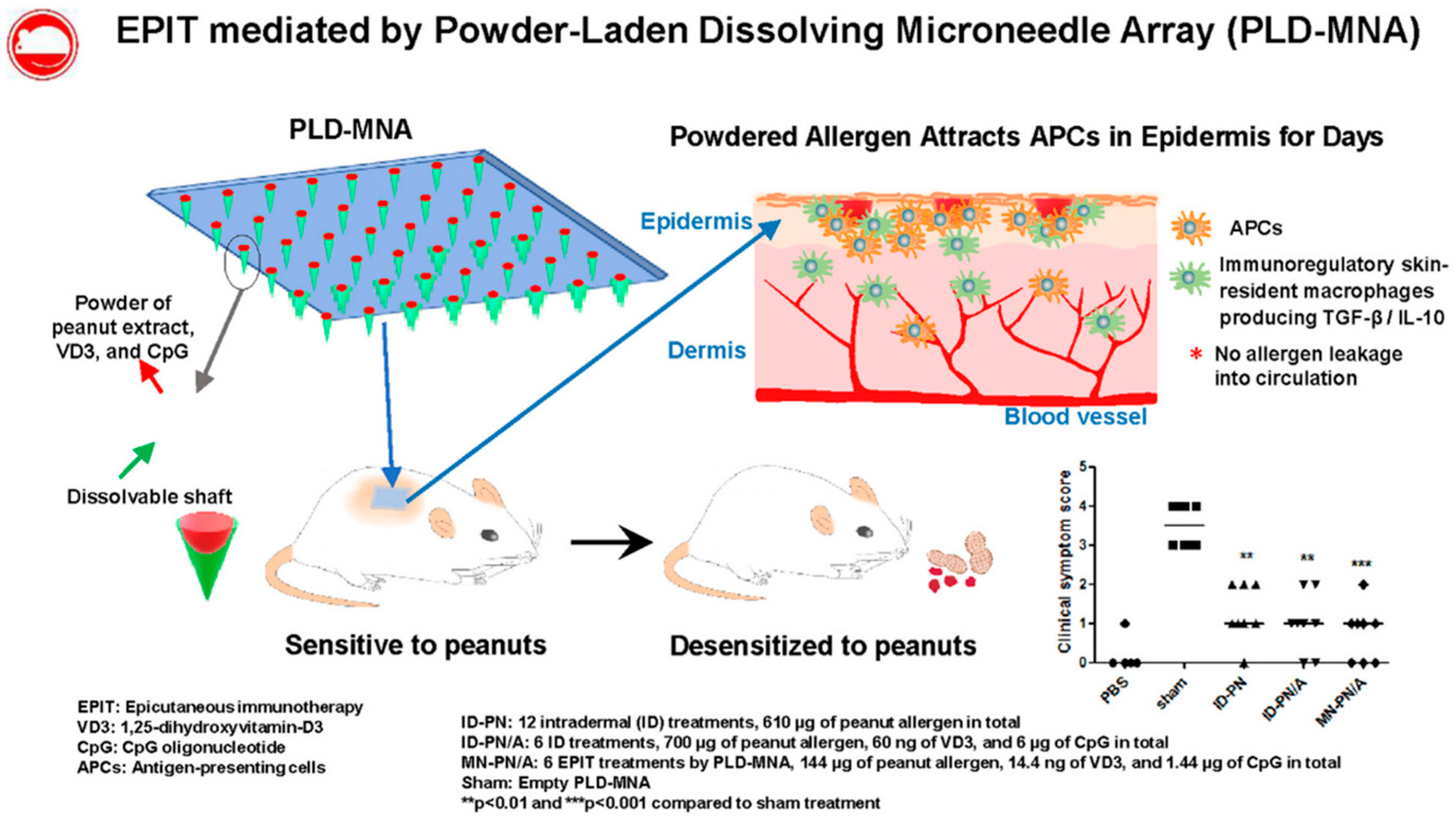 Pharmaceutics 13 02149 g005