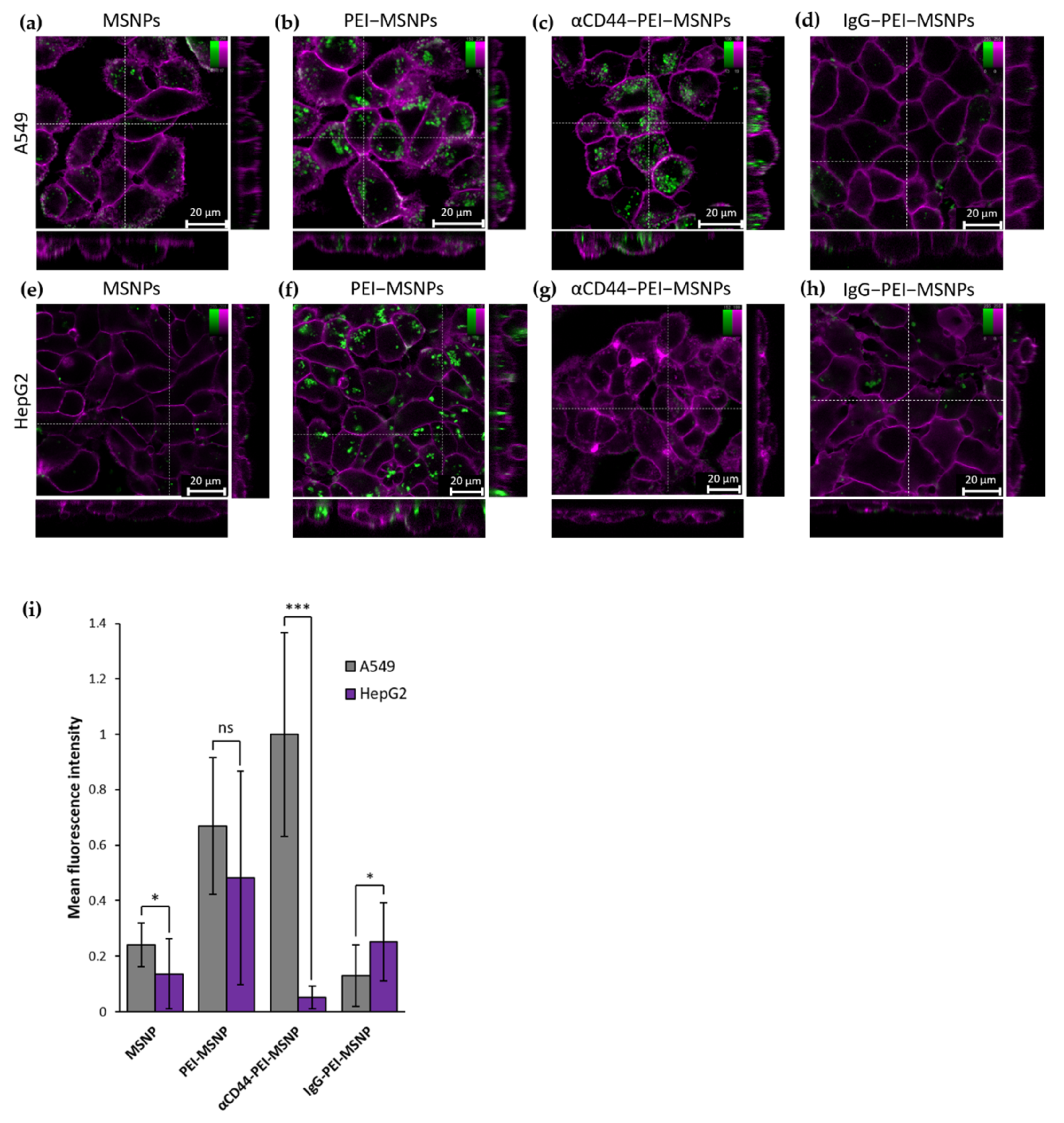Pharmaceutics 13 02153 g004
