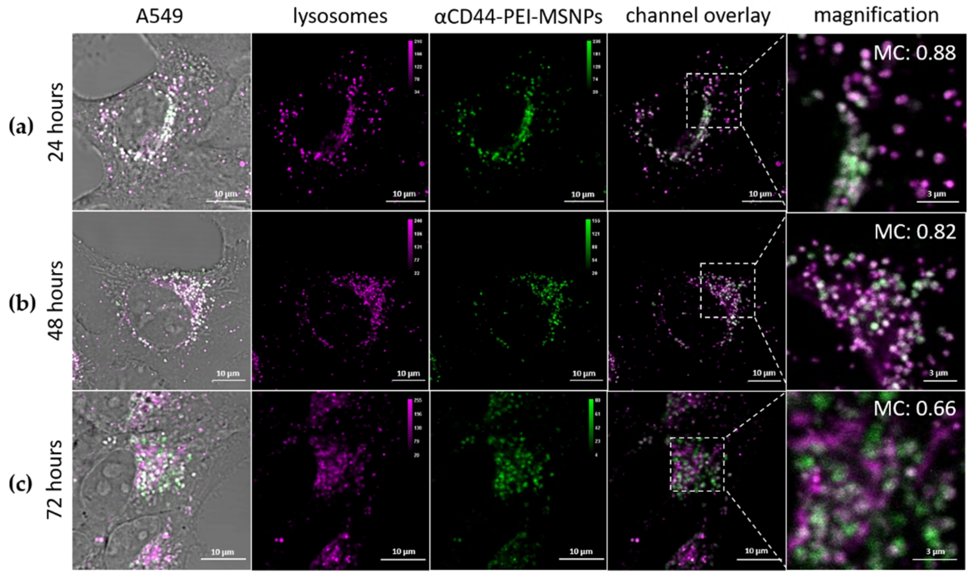 Pharmaceutics 13 02153 g005