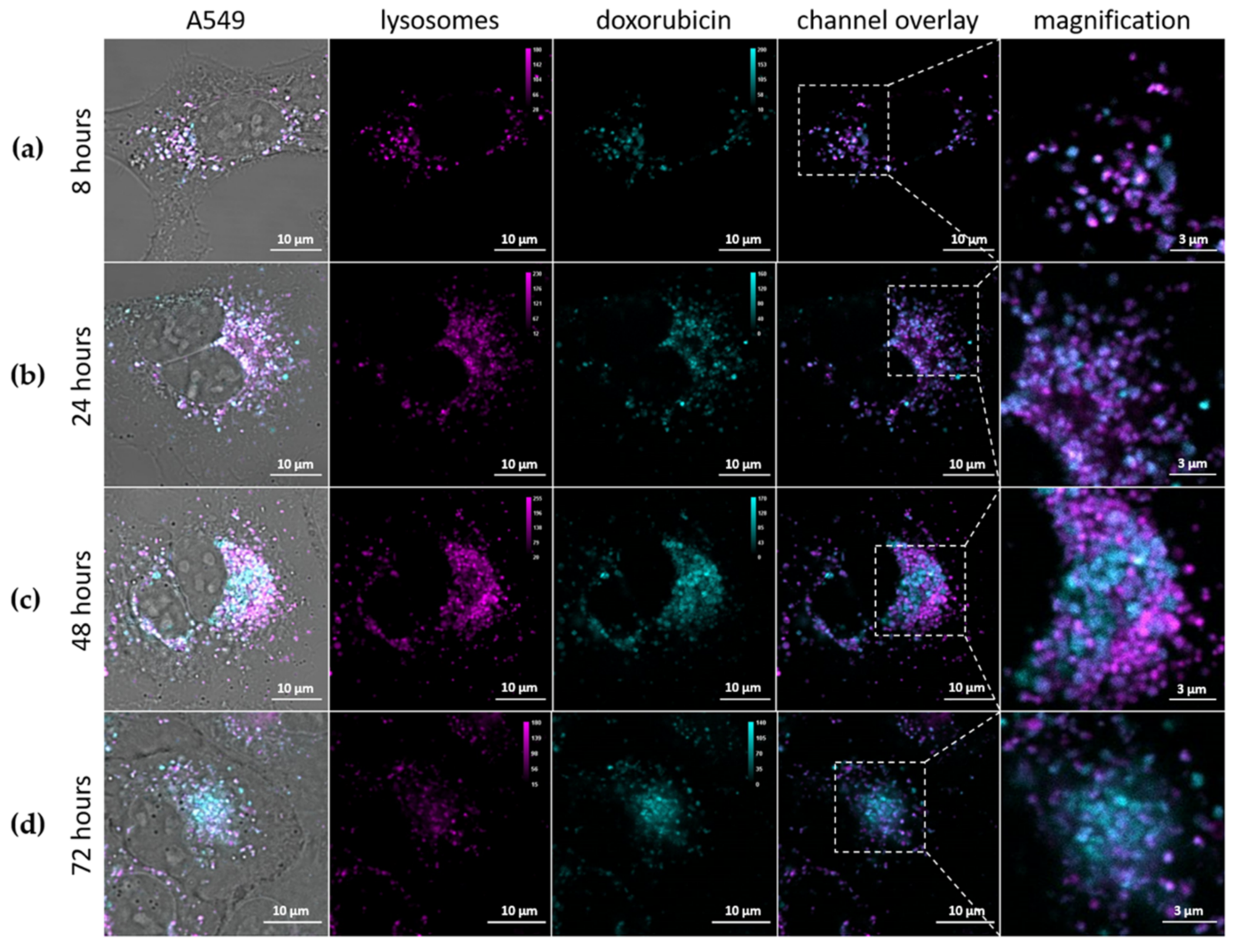 Pharmaceutics 13 02153 g006