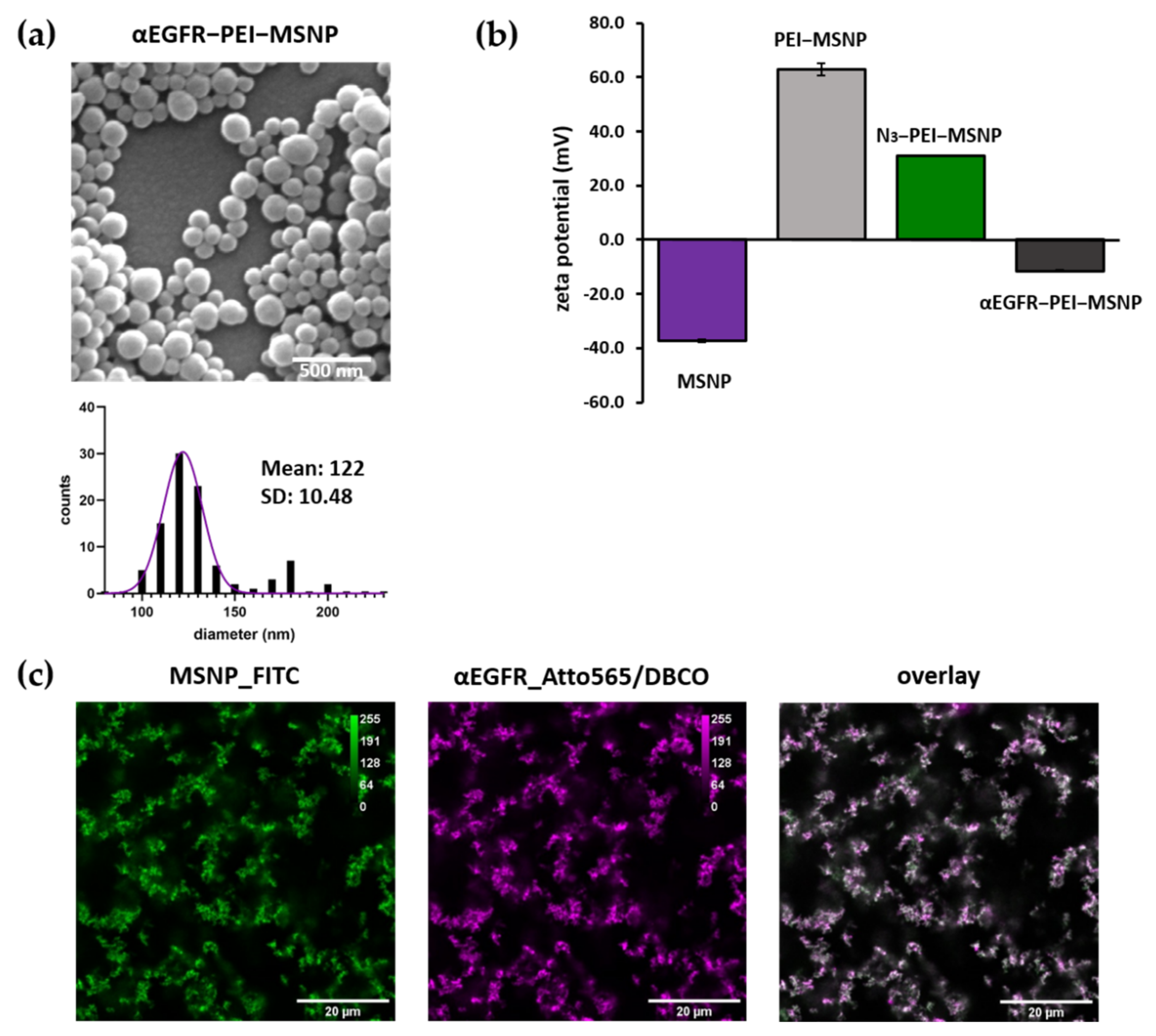 Pharmaceutics 13 02153 g009