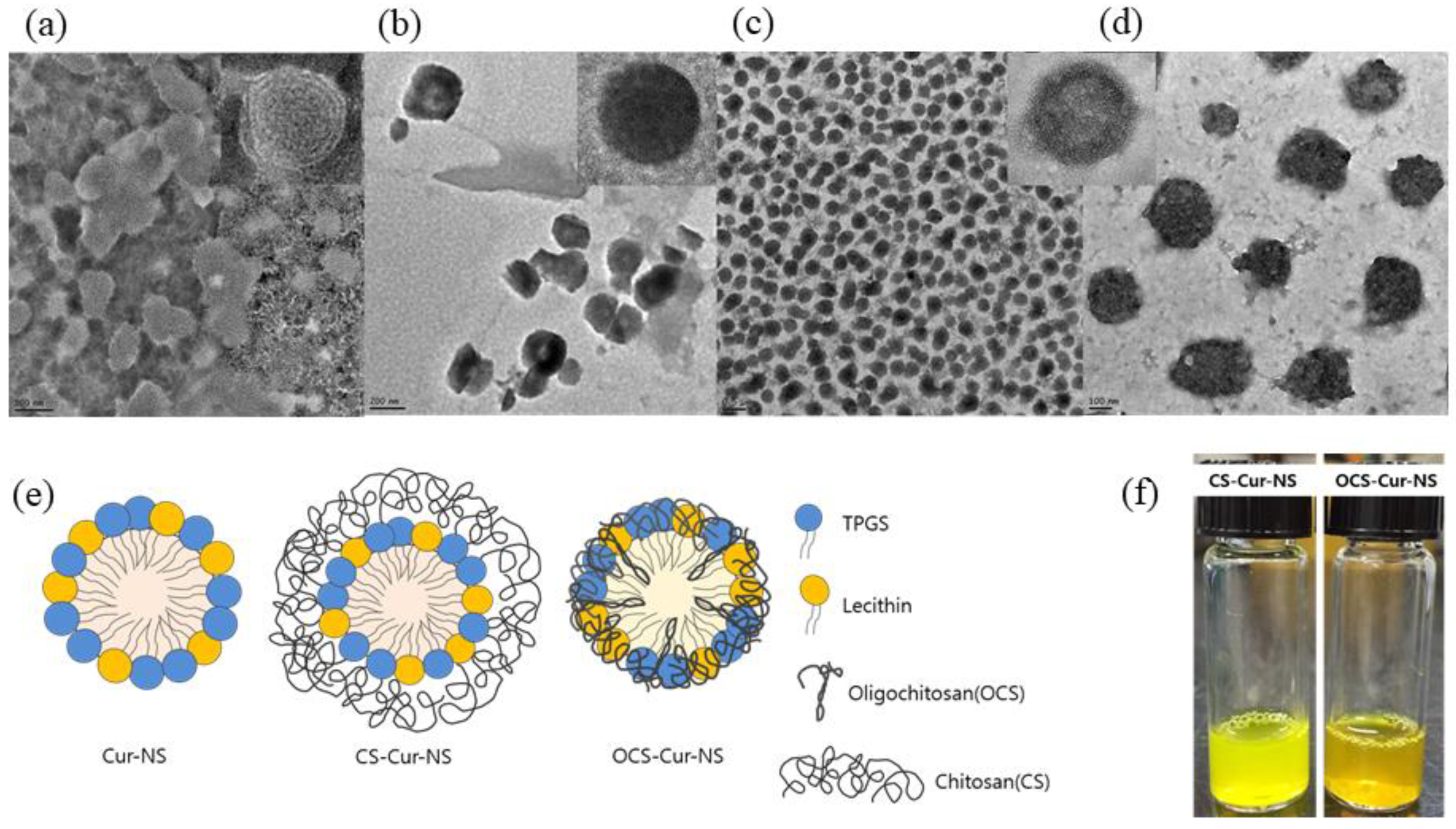 Pharmaceutics 13 02154 g002