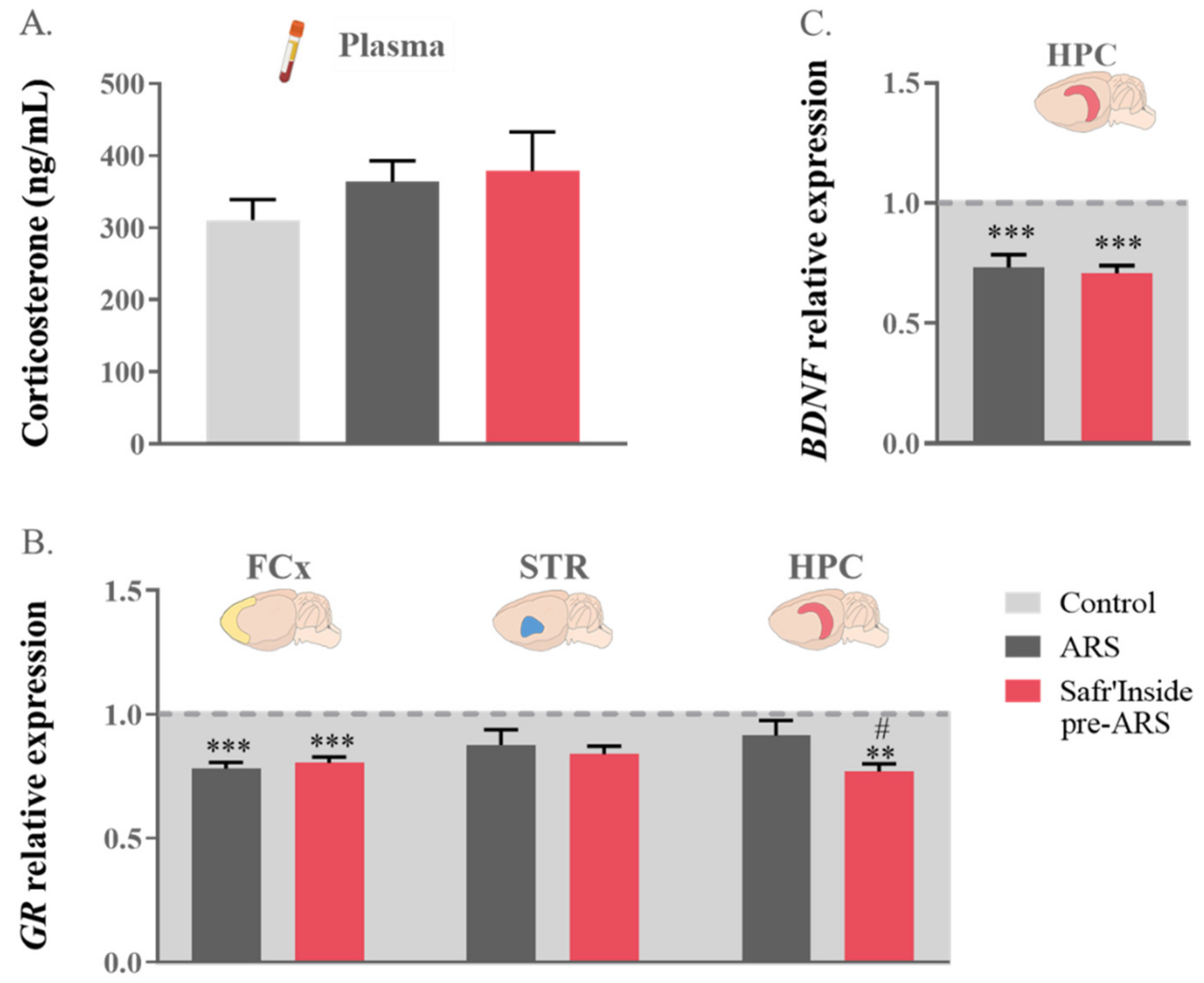 Pharmaceutics 13 02155 g004