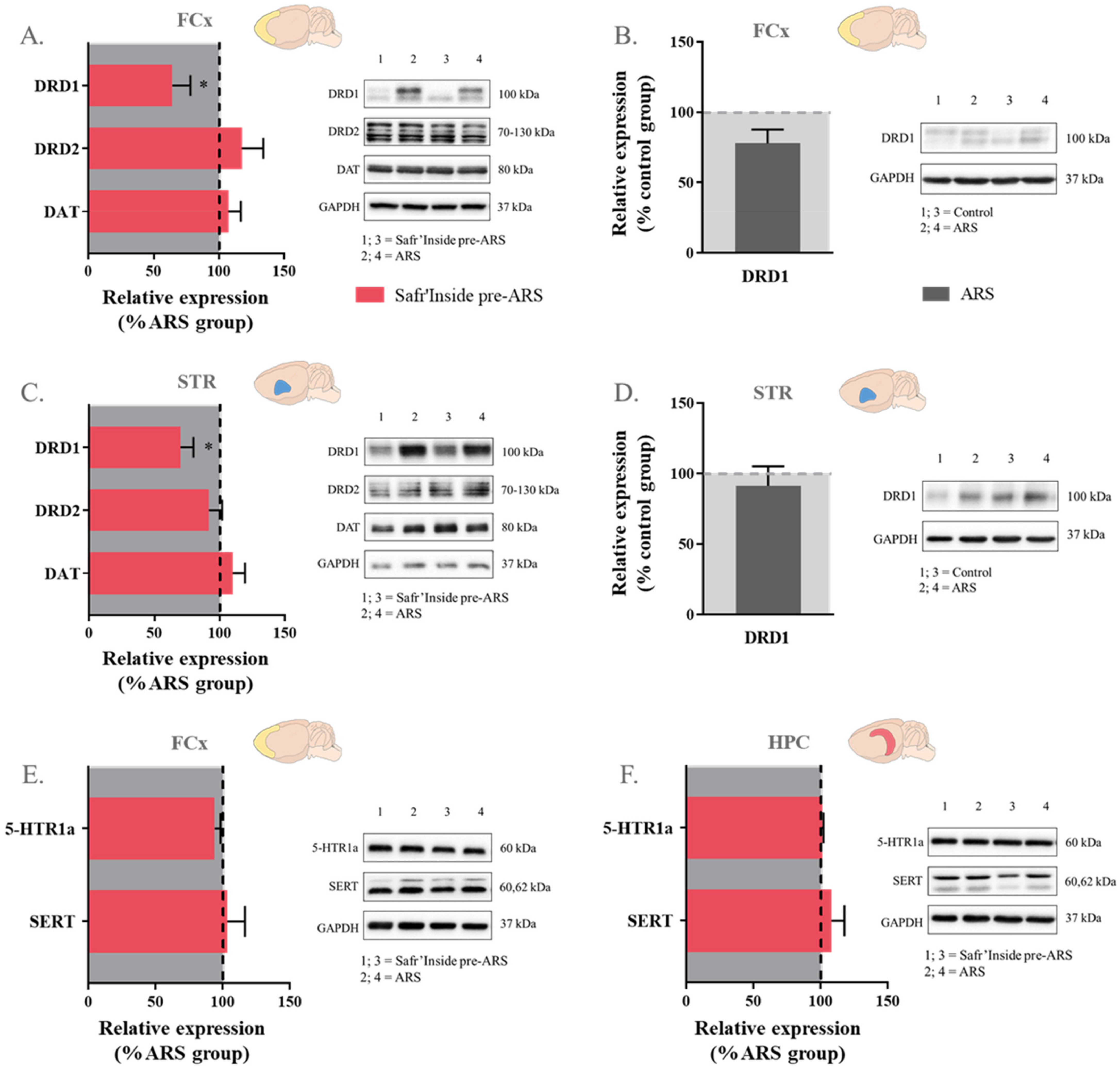 Pharmaceutics 13 02155 g008