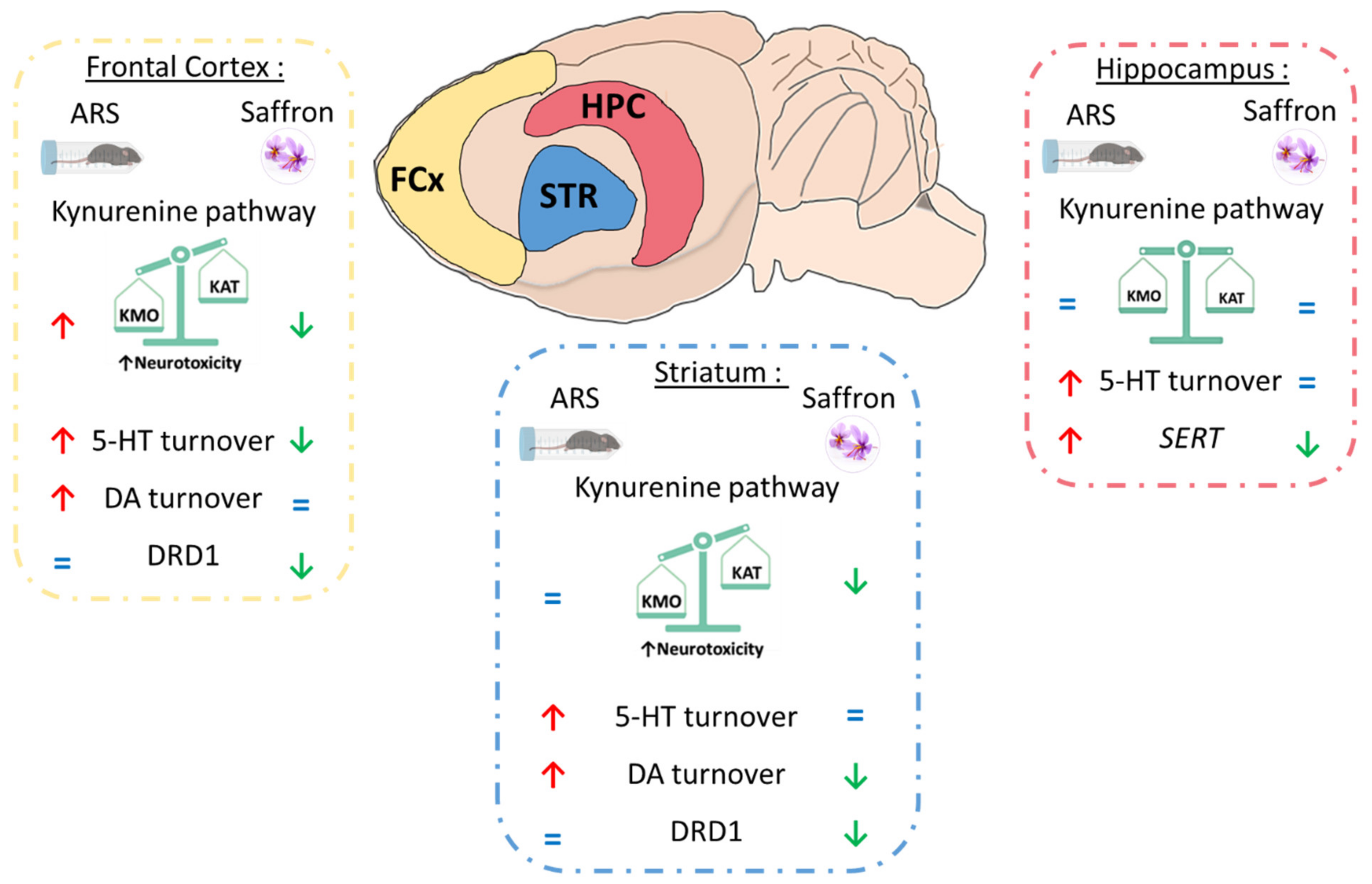 Pharmaceutics 13 02155 g009