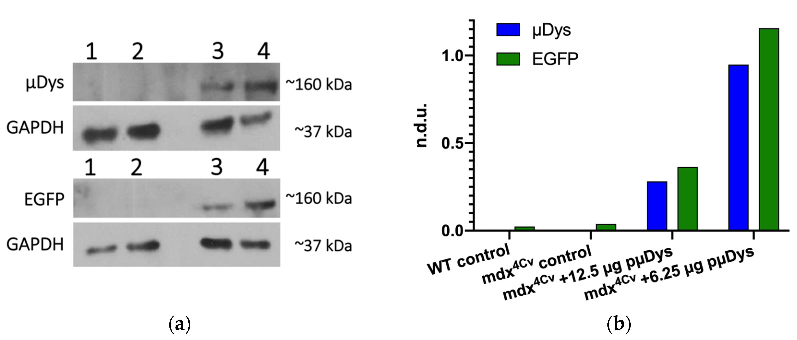Pharmaceutics 13 02159 g007