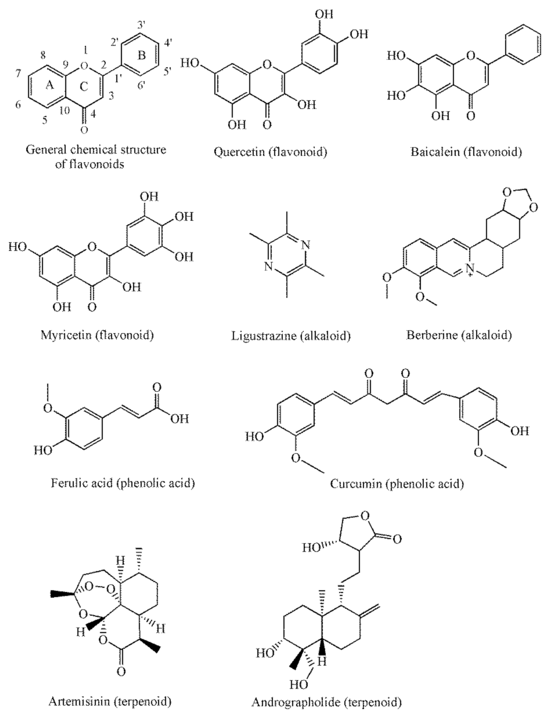 Pharmaceutics 13 02160 g002
