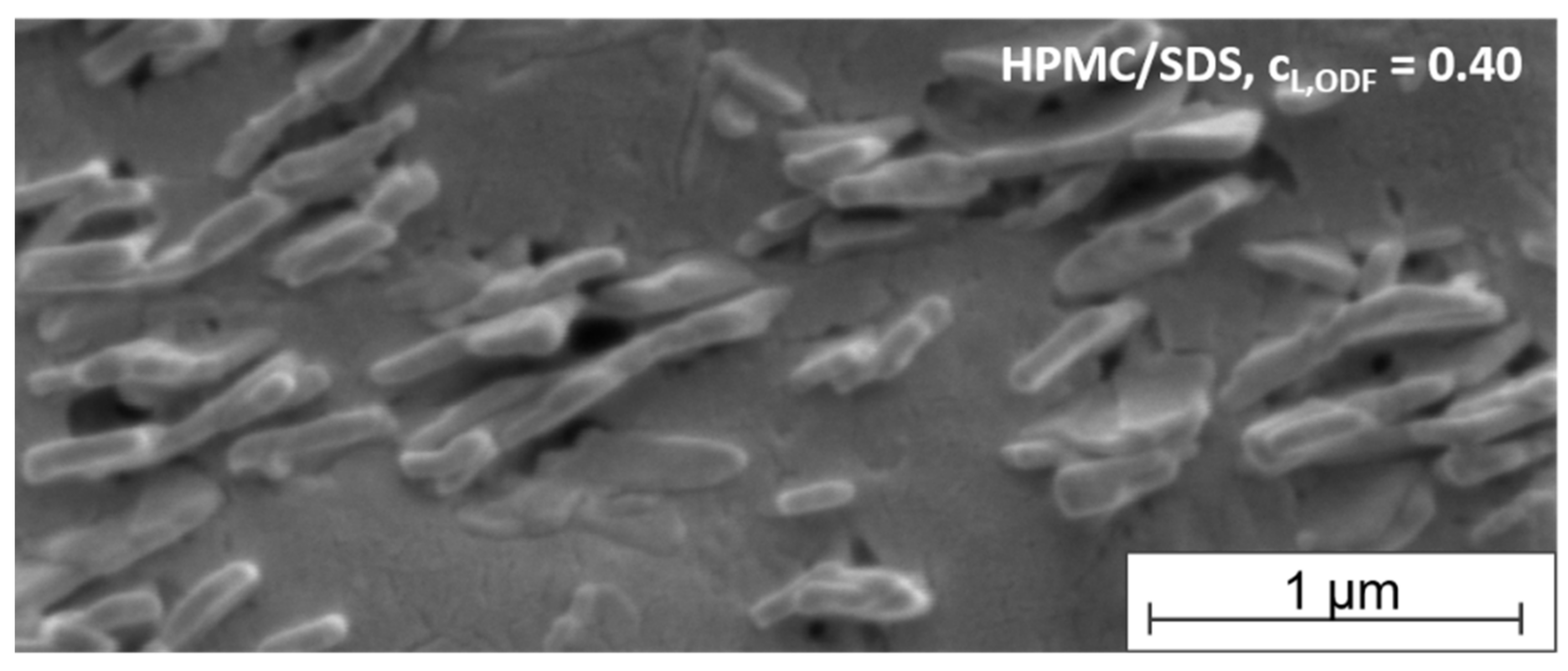 Pharmaceutics 13 02162 g006